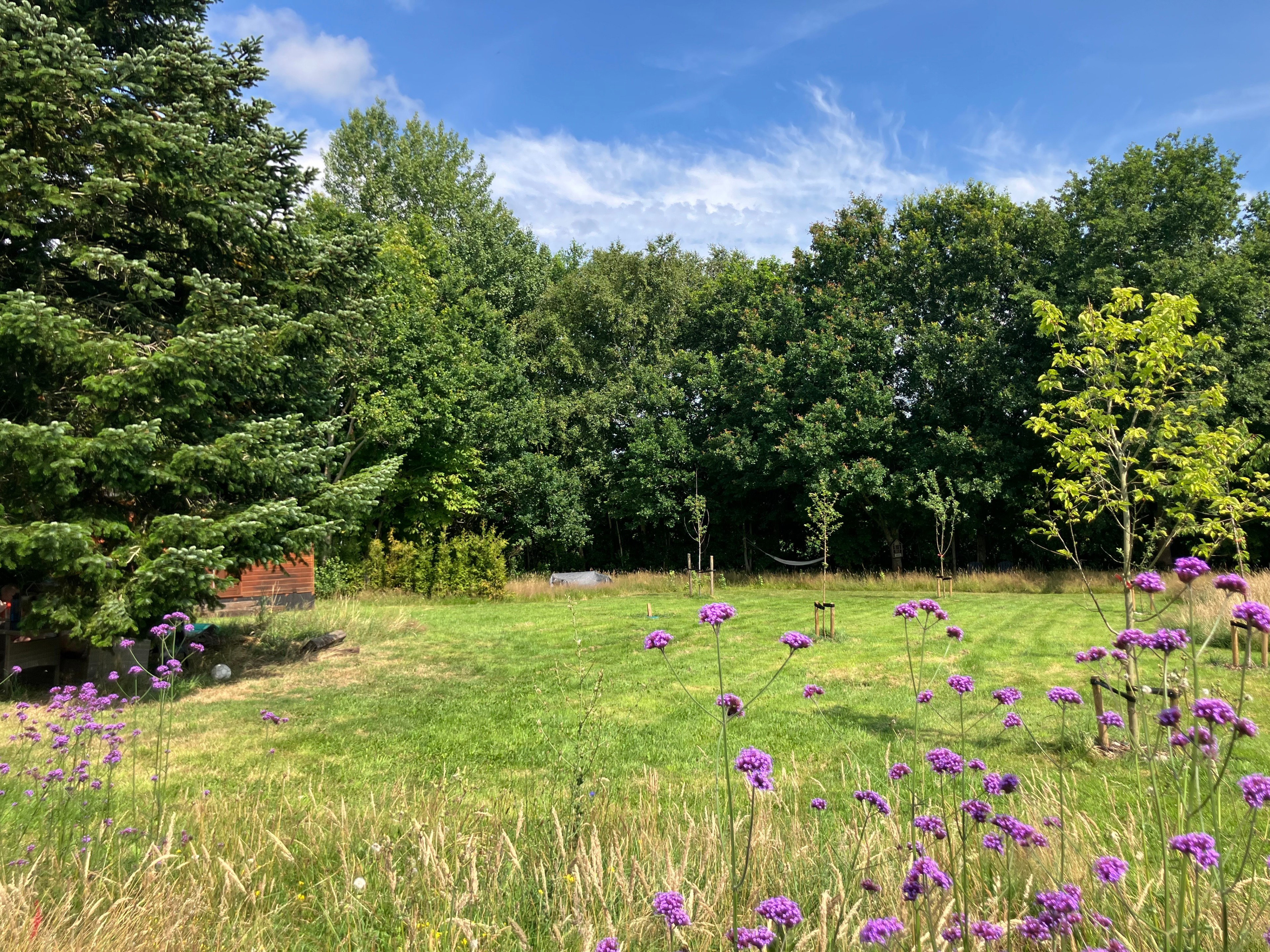 - image: 11