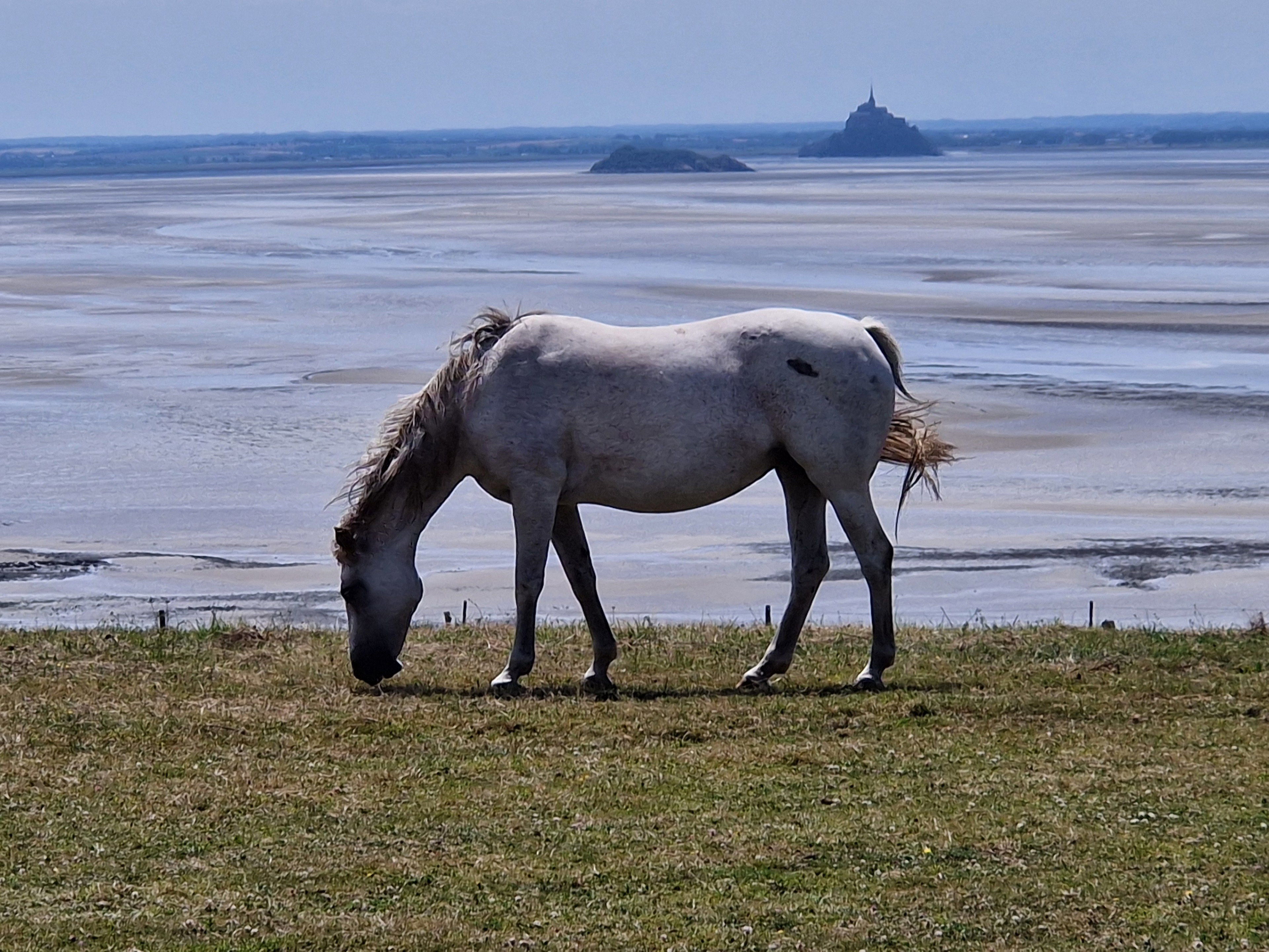 Natuurhuisje in La Lande d'Airou