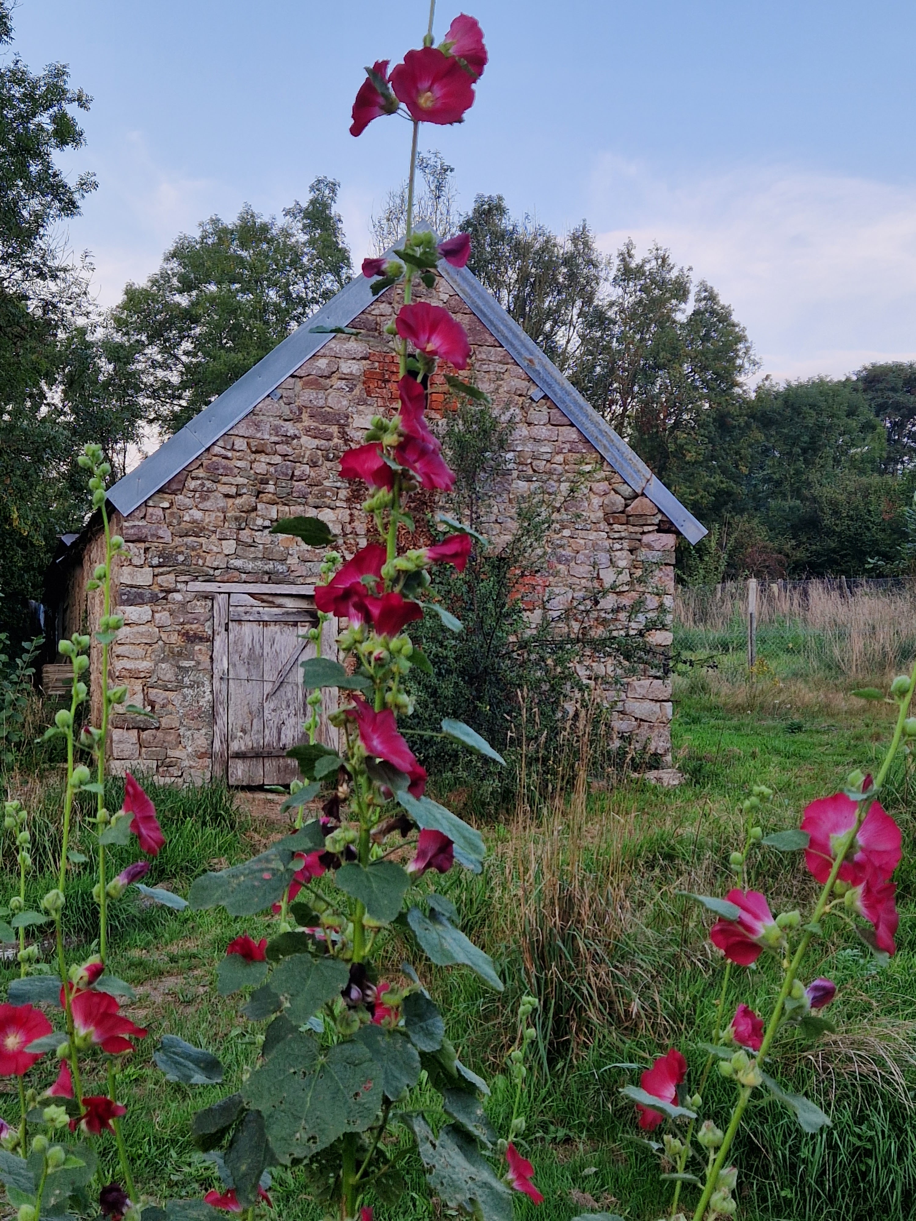 Natuurhuisje in La Lande d'Airou
