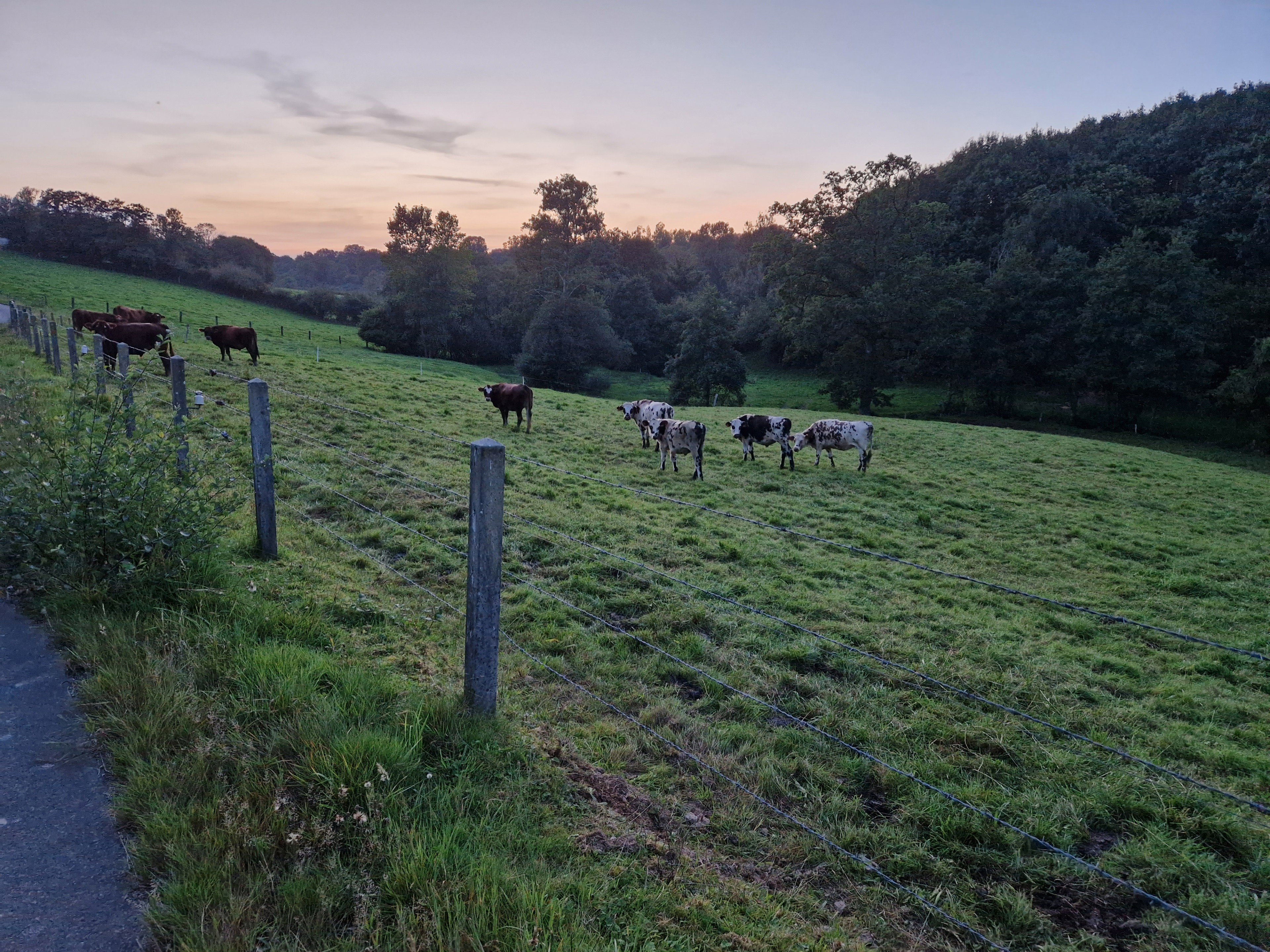 Natuurhuisje in La Lande d'Airou