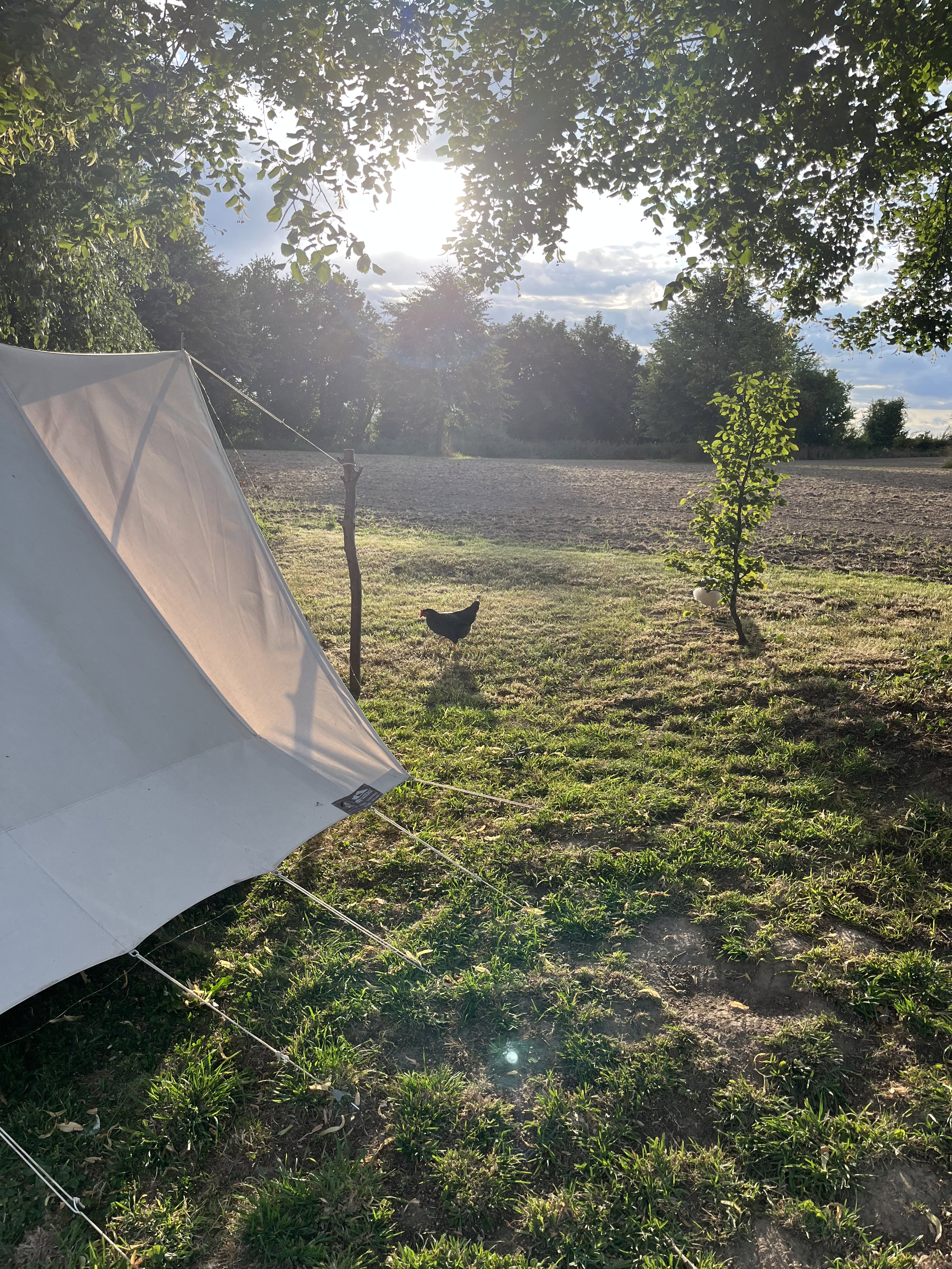 Natuurhuisje in Plombières