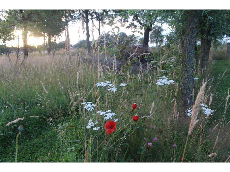 Natuurhuisje in Westendorp