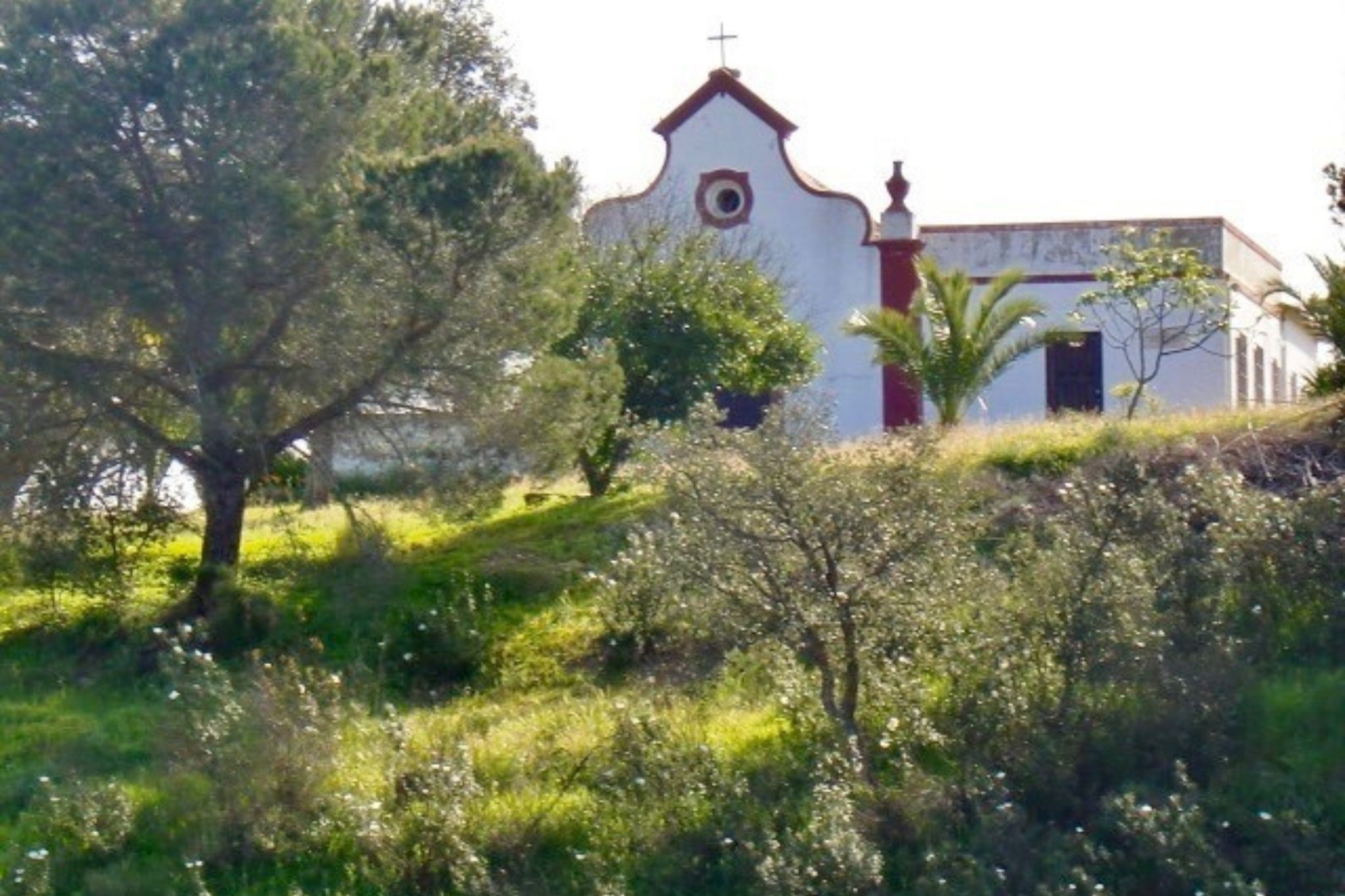 Natuurhuisje in São Bartolomeu de Messines