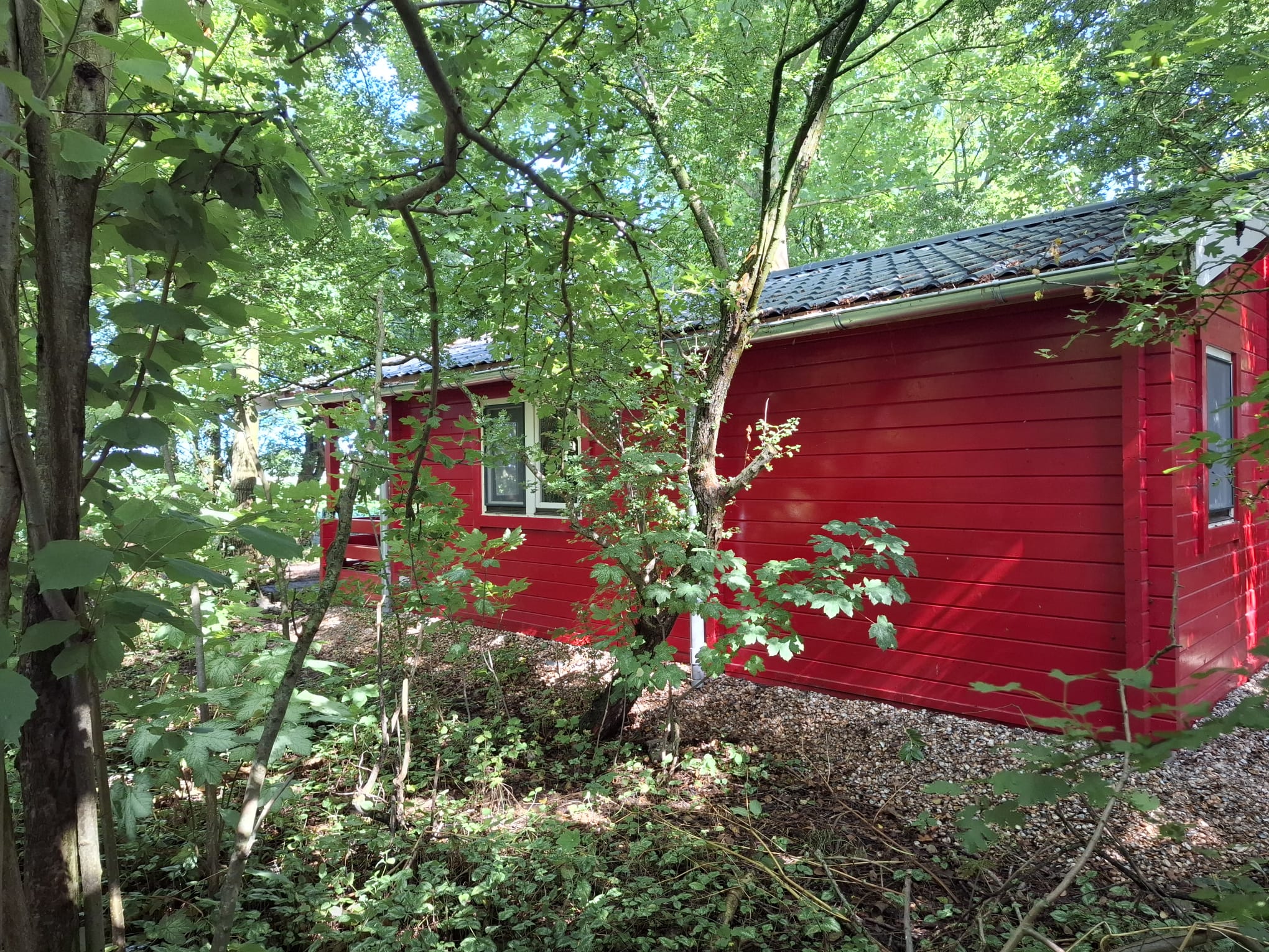Casa nella natura a Pieterburen