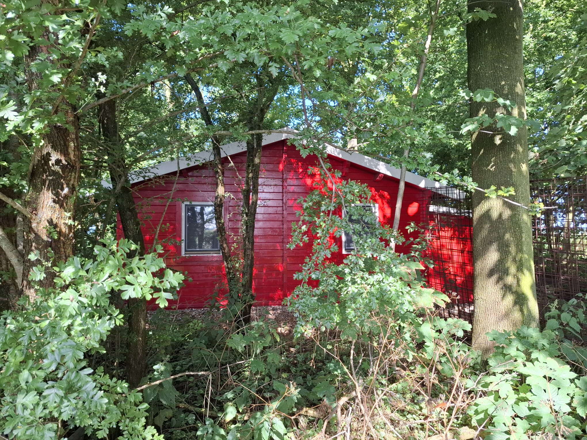Casa nella natura a Pieterburen