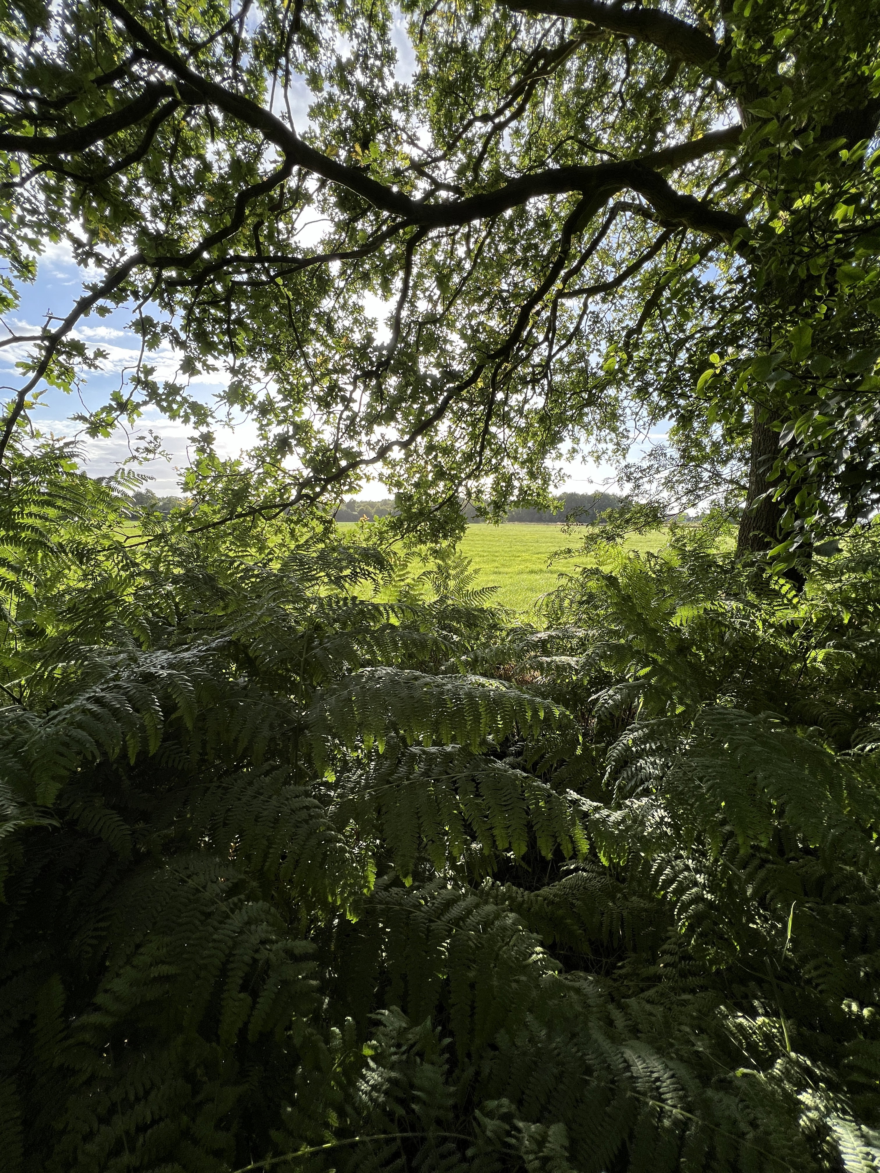 Maison nature à Oldeholtpade