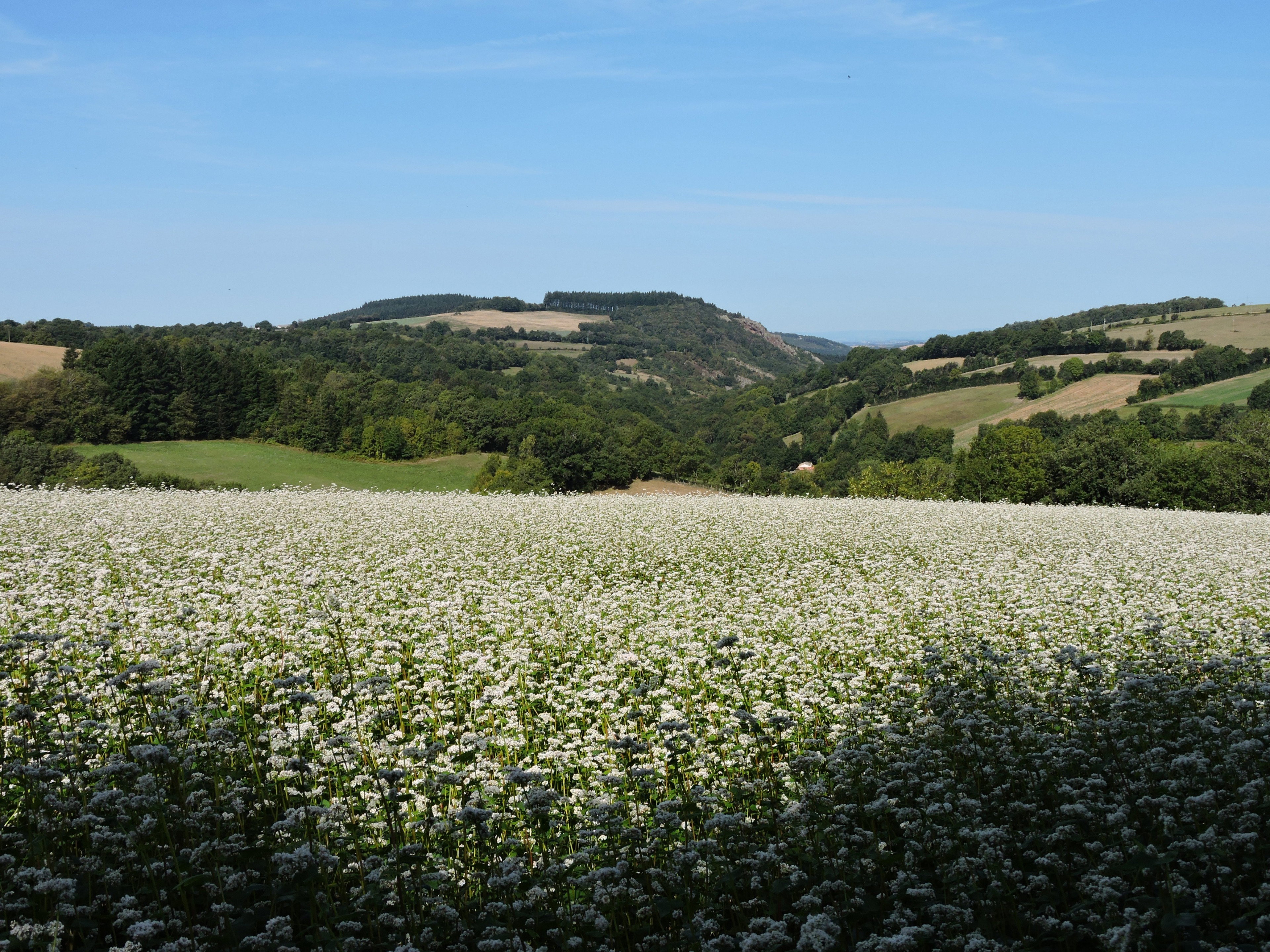 - image: 22