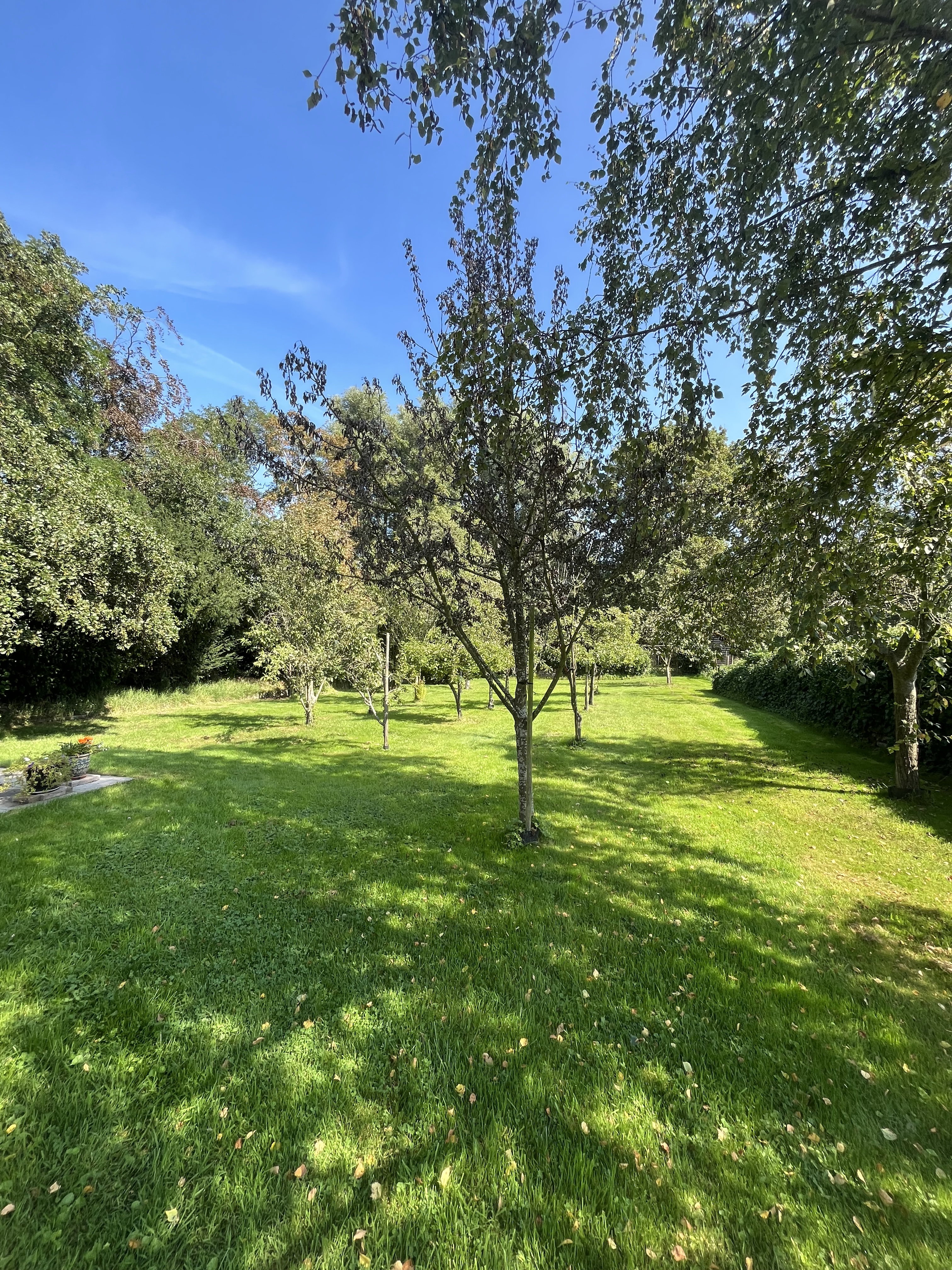 Casa nella natura a Burgh Haamstede