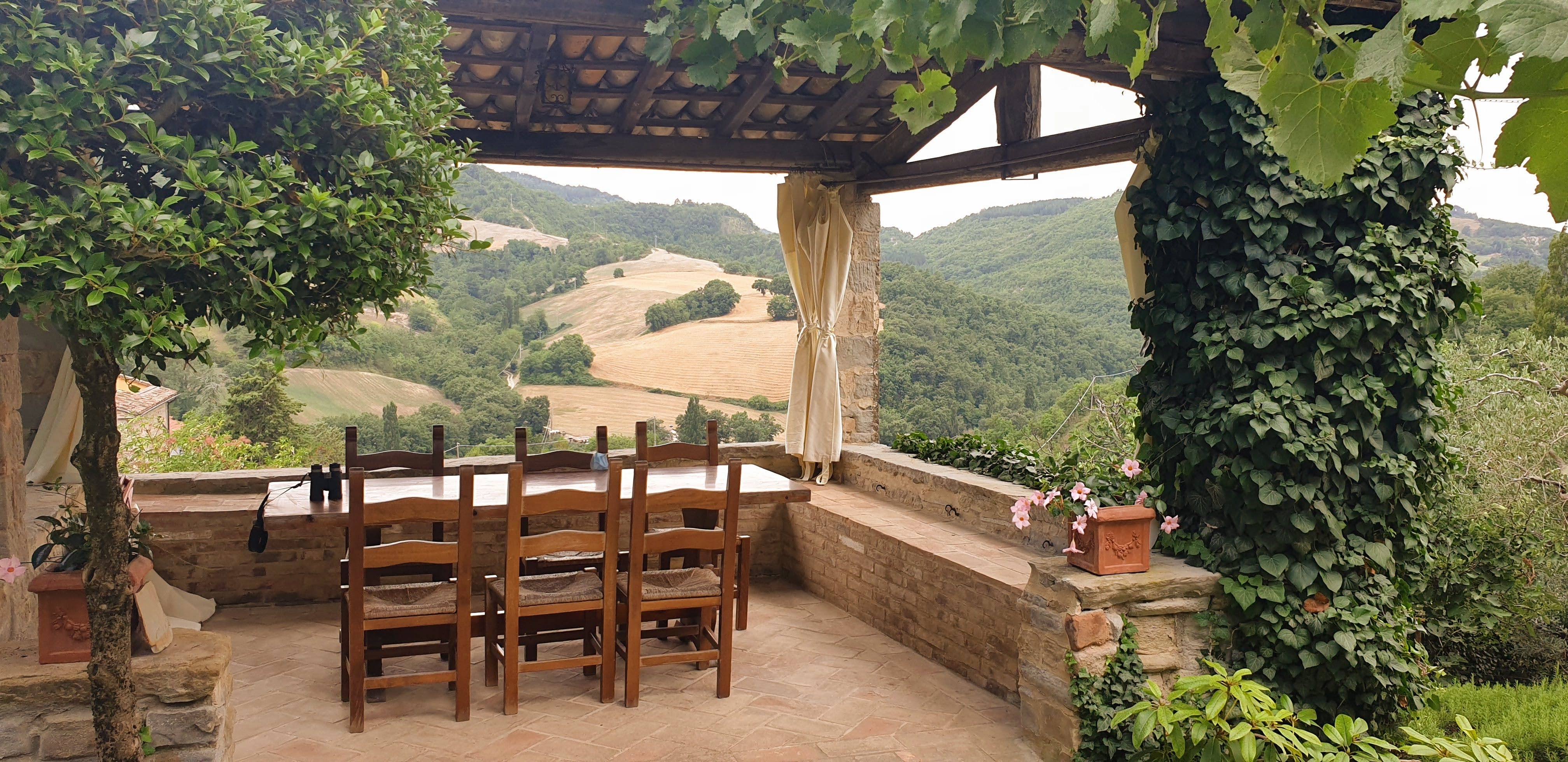 Nature house in Montone