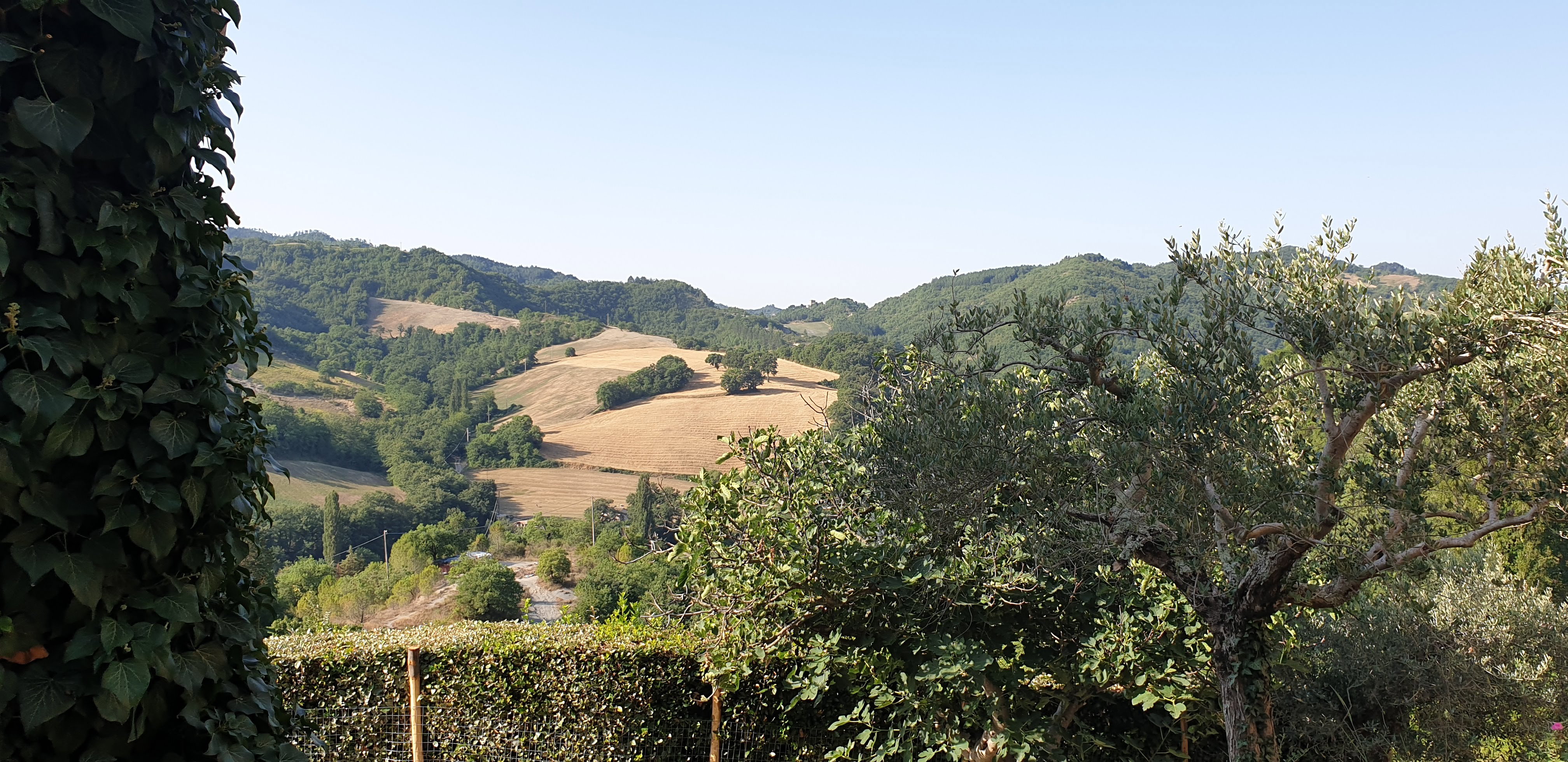 Nature house in Montone