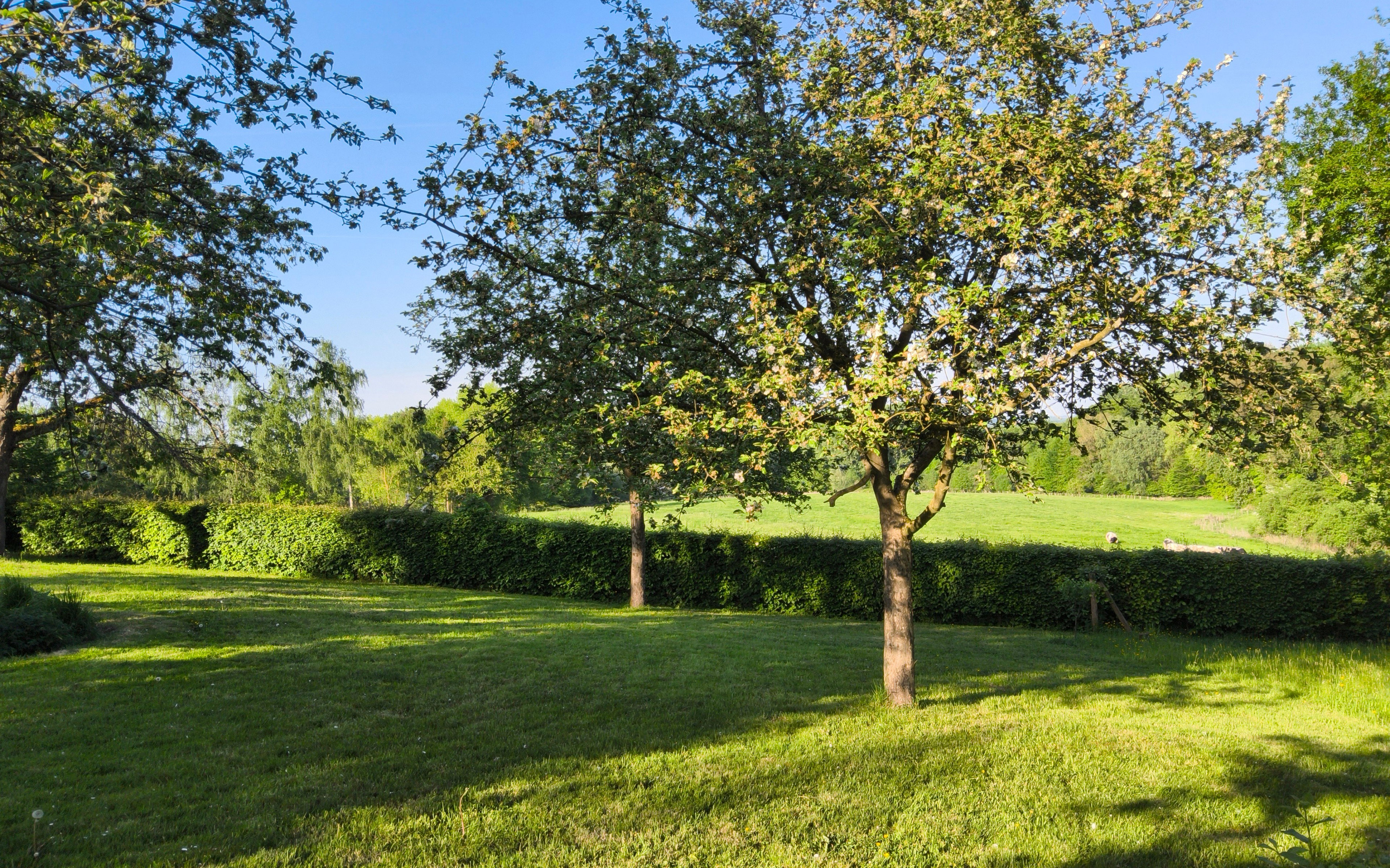 Natuurhuisje in Everbeek (Brakel)