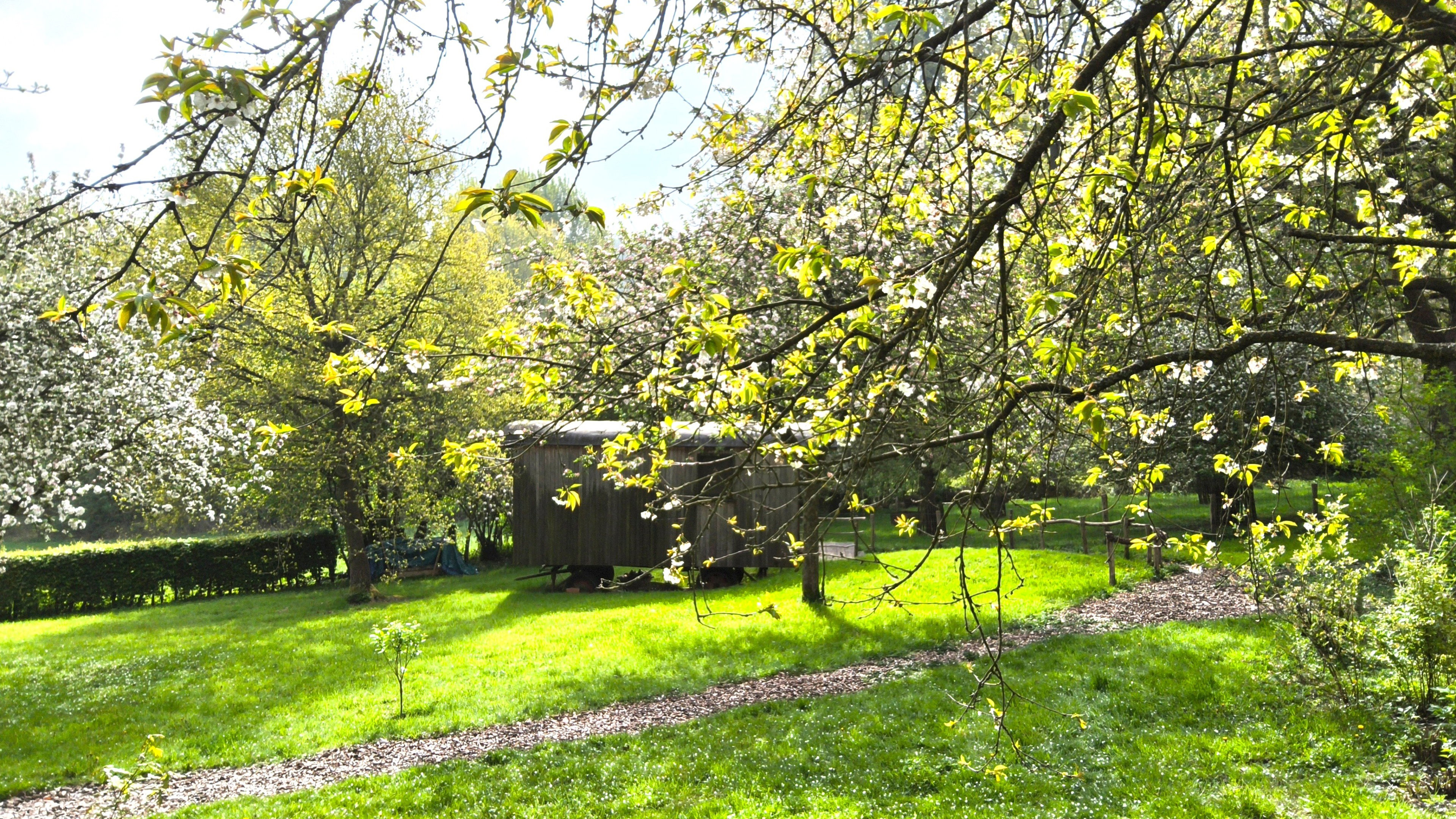 Natuurhuisje in Everbeek (Brakel)
