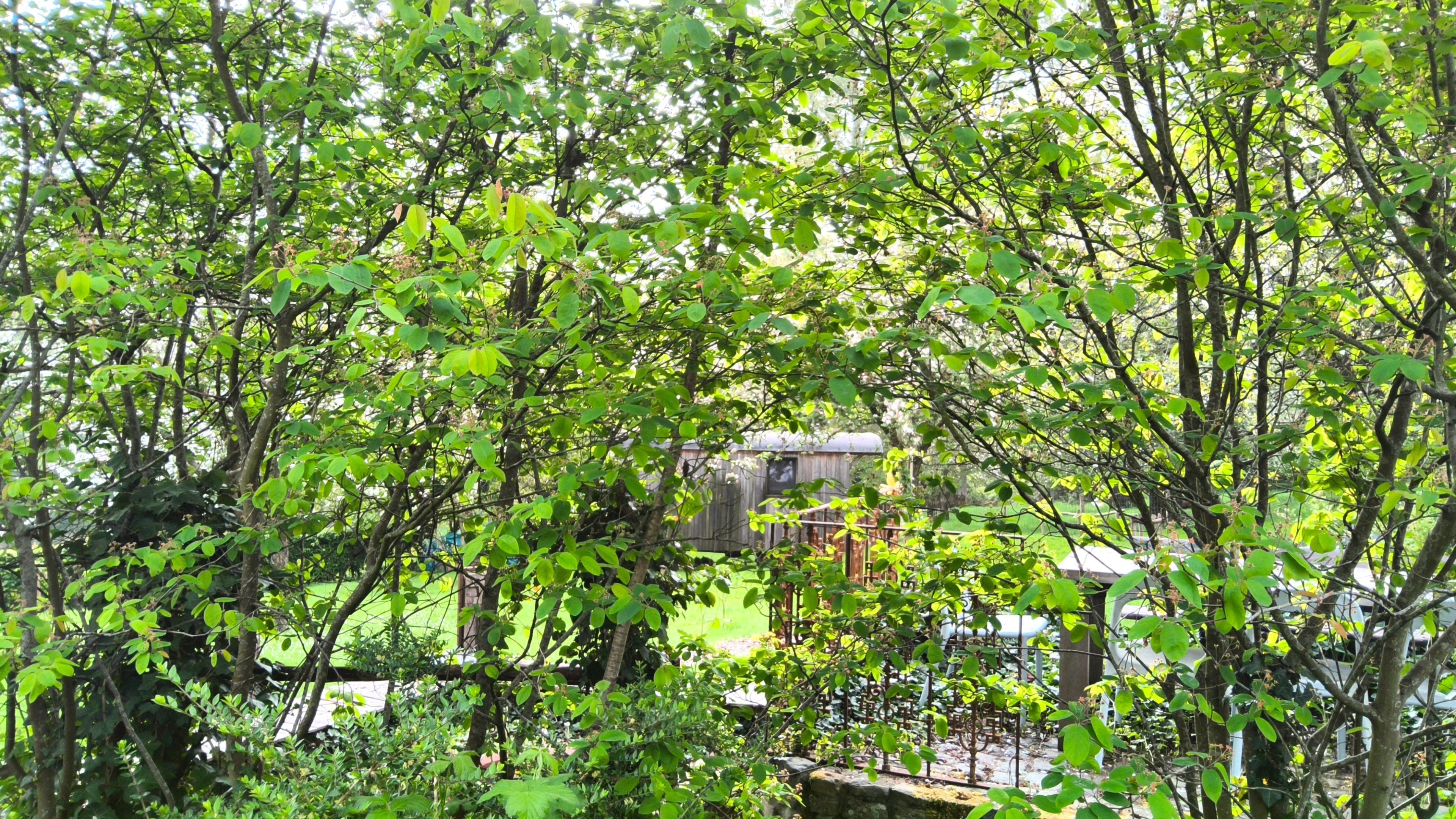 Natuurhuisje in Everbeek (Brakel)