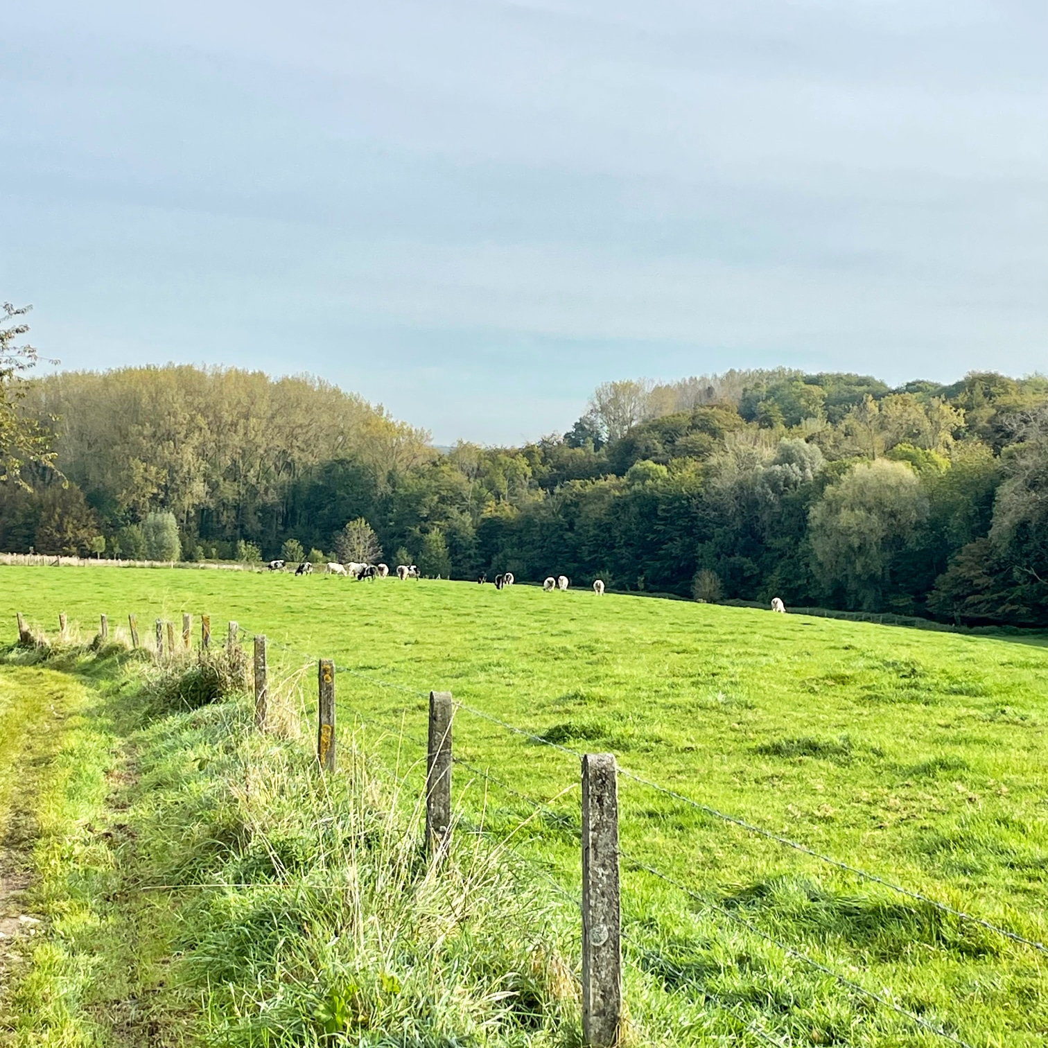 Natuurhuisje in Everbeek (Brakel)