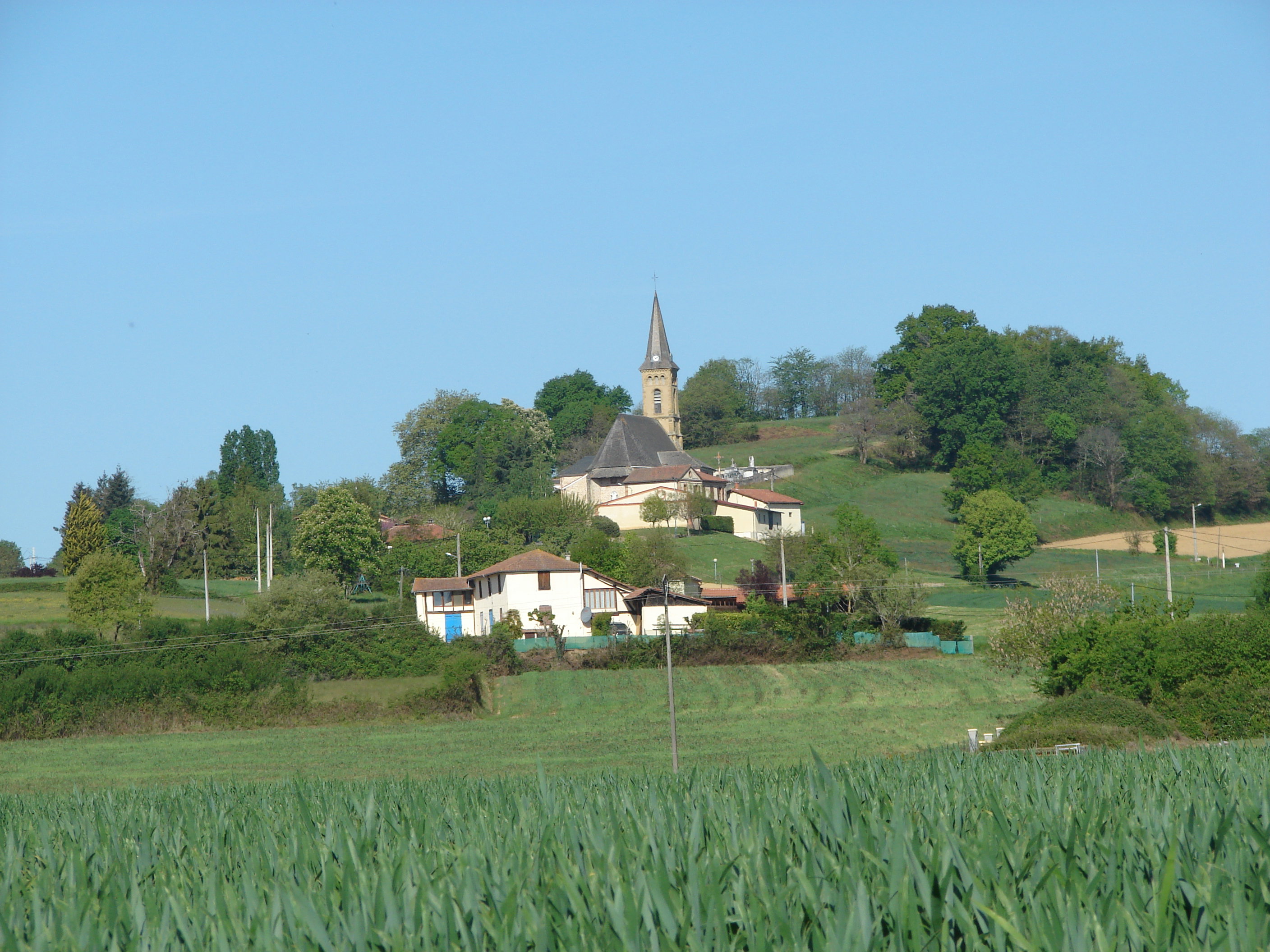 - image: 14