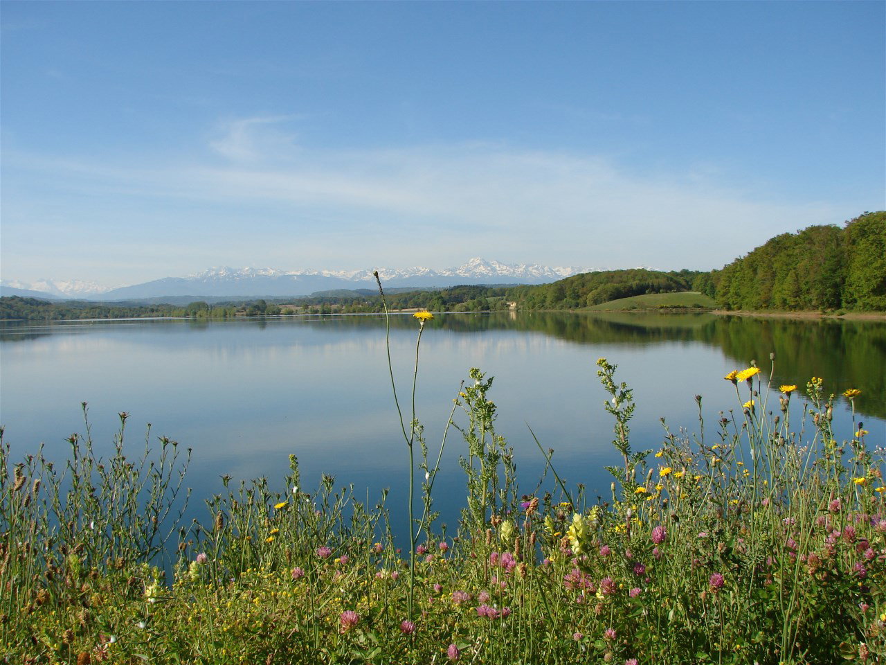 - image: 11