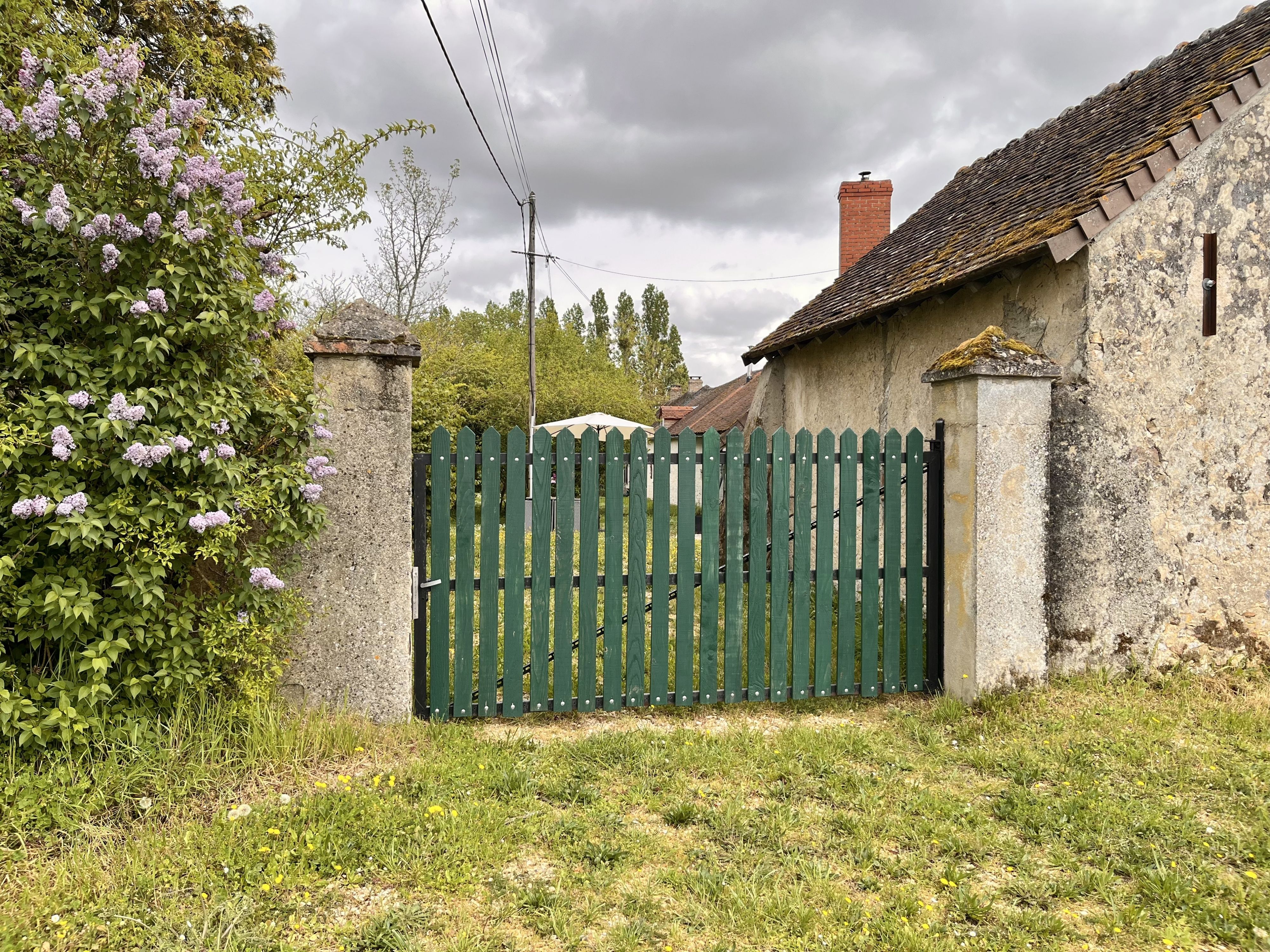 - image: 19