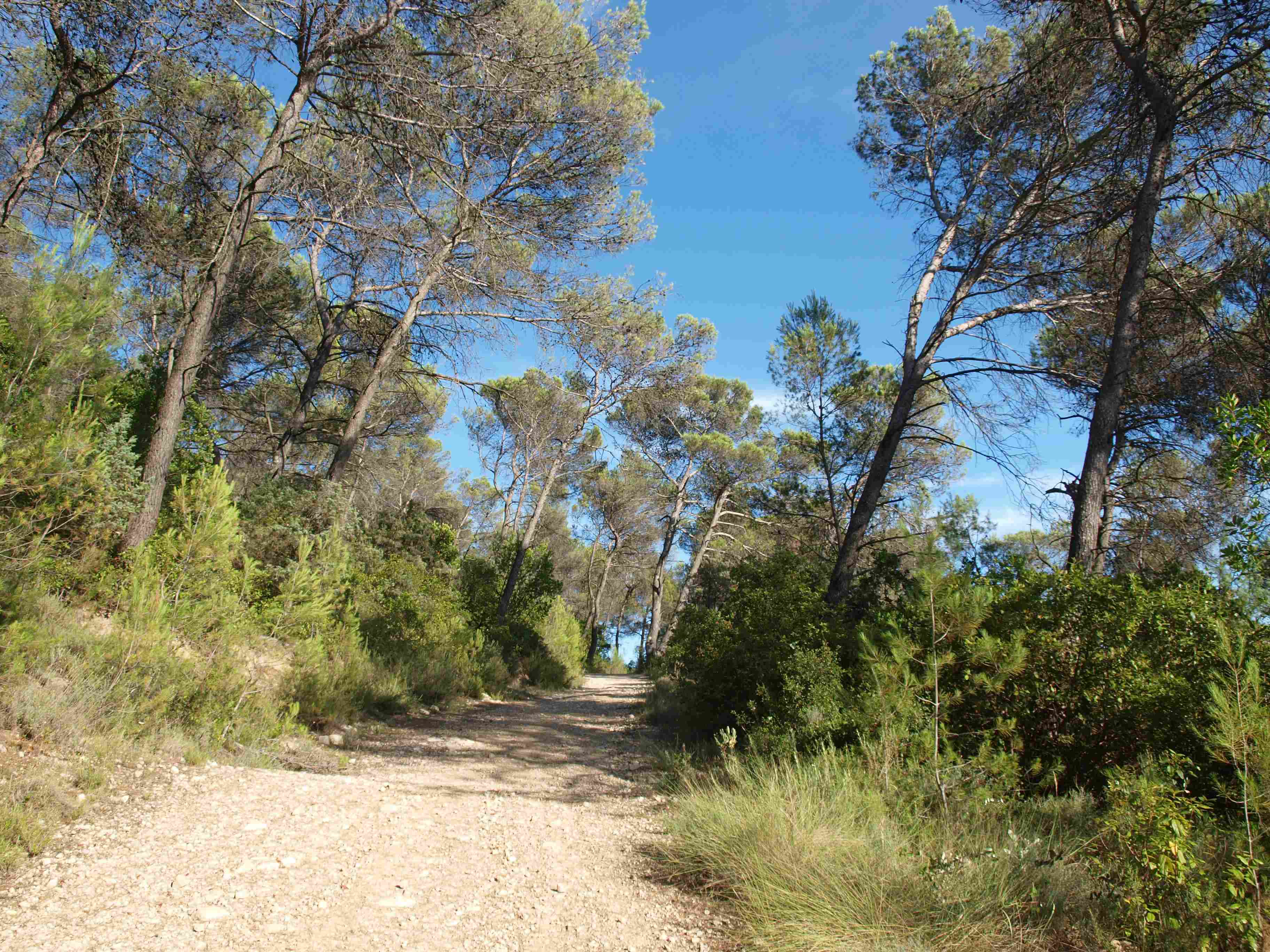 Natuurhuisje in cannes et clairan