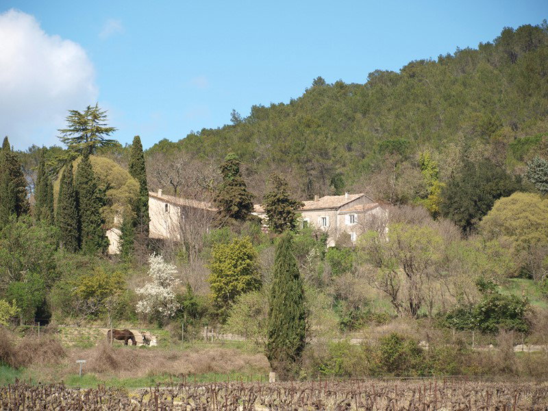 - image: 11