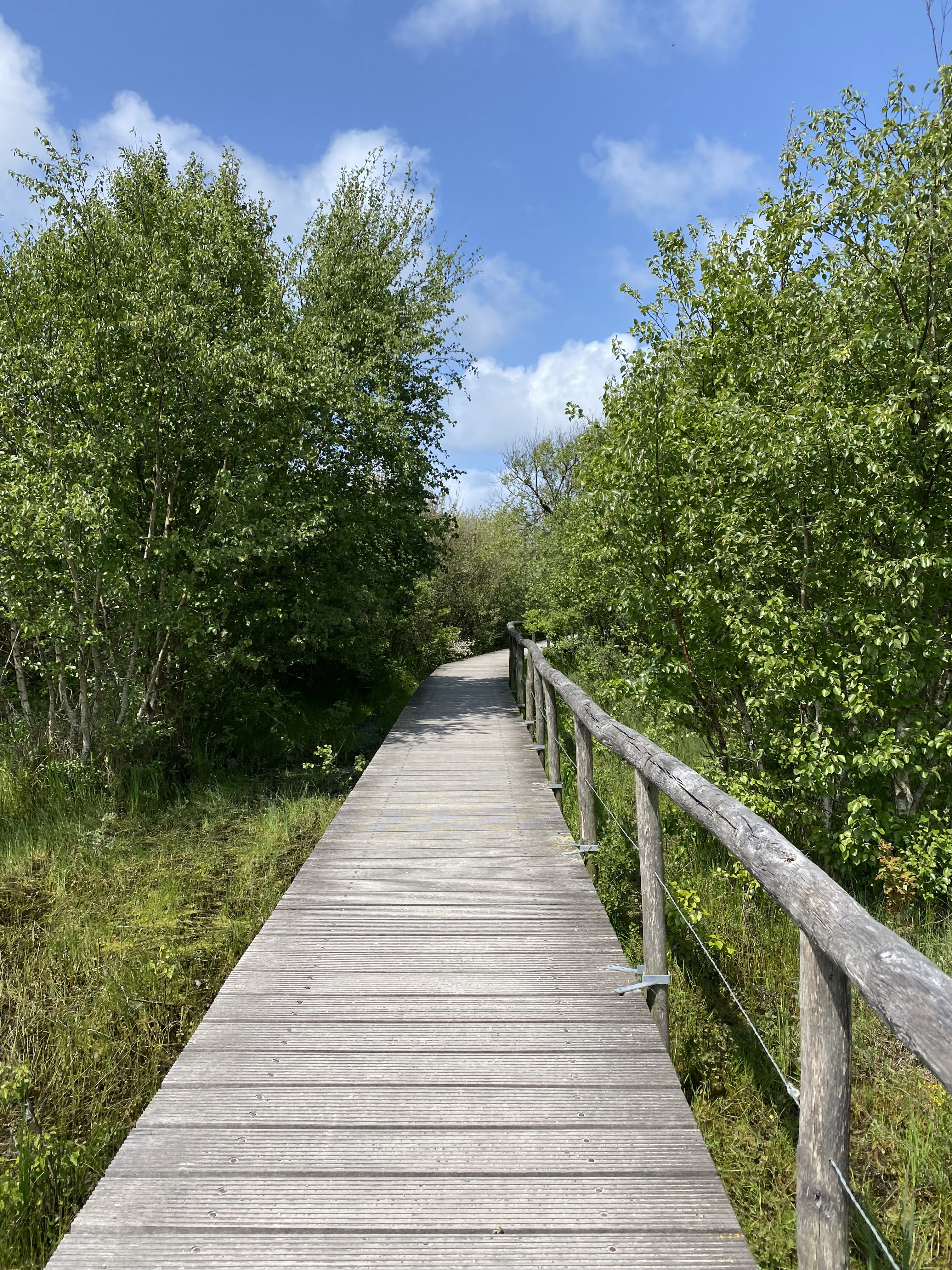 - image: 50