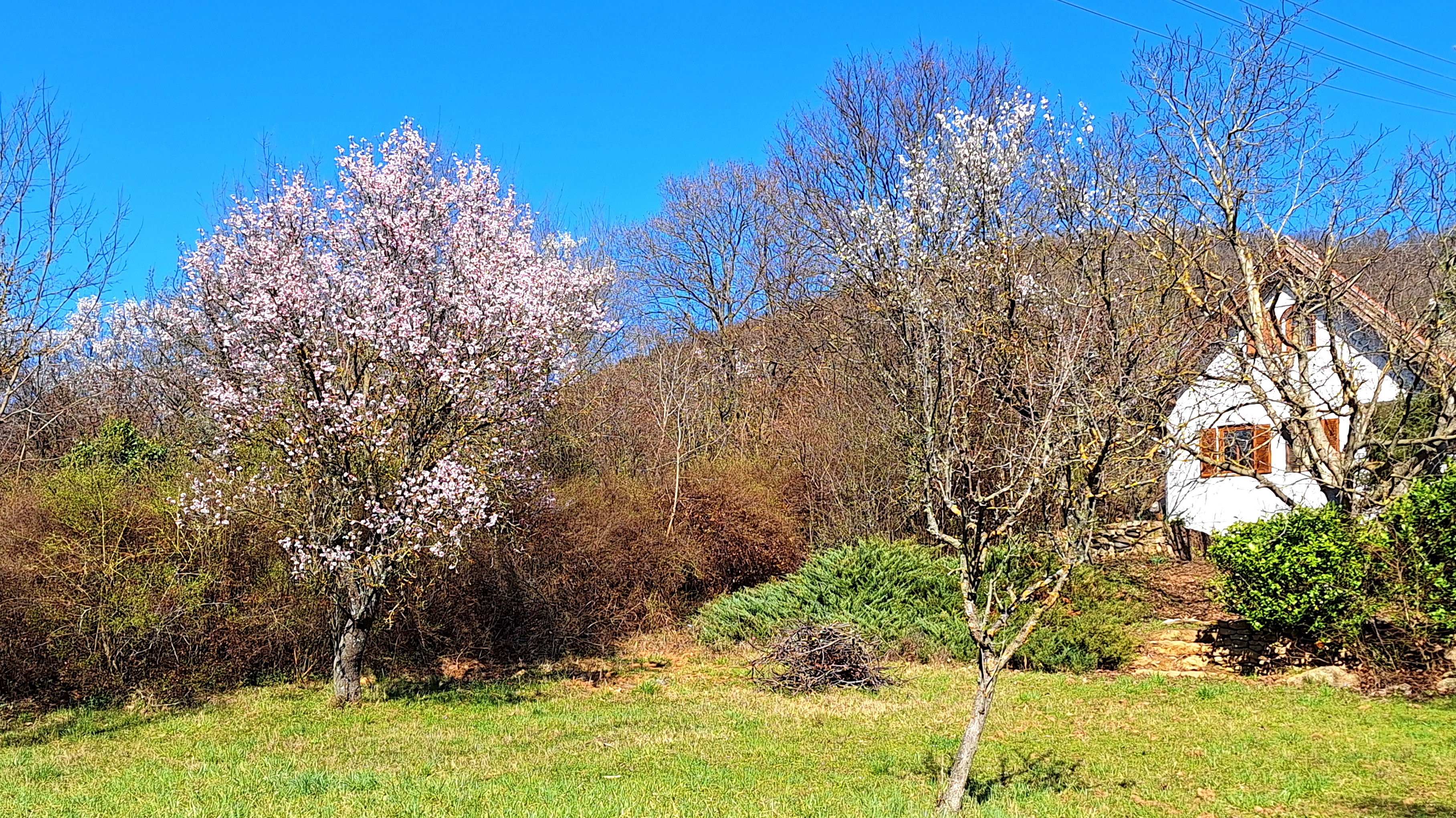 Natuurhuisje in Badacsonytomaj/Badacsonyors