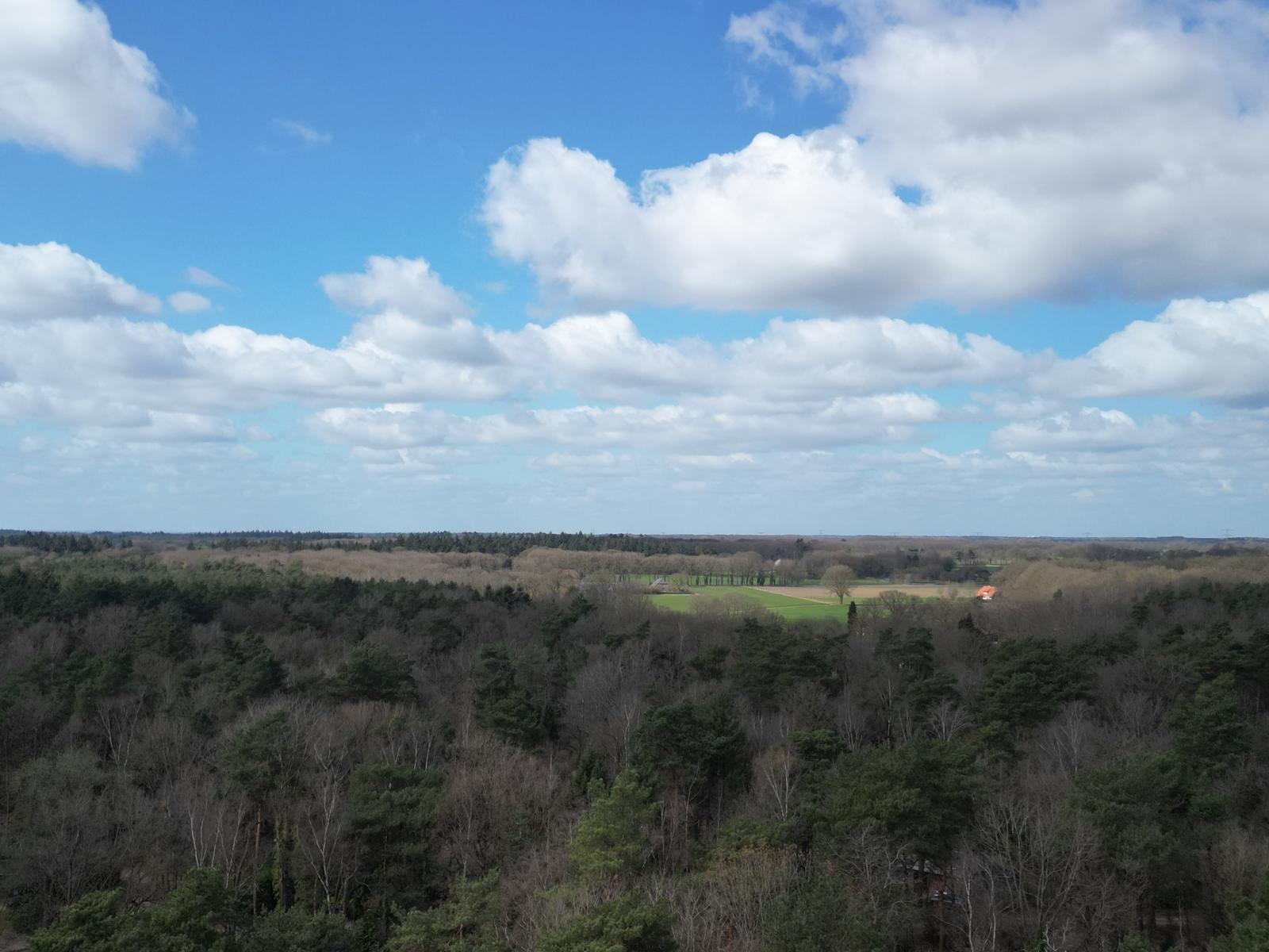 - image: 44