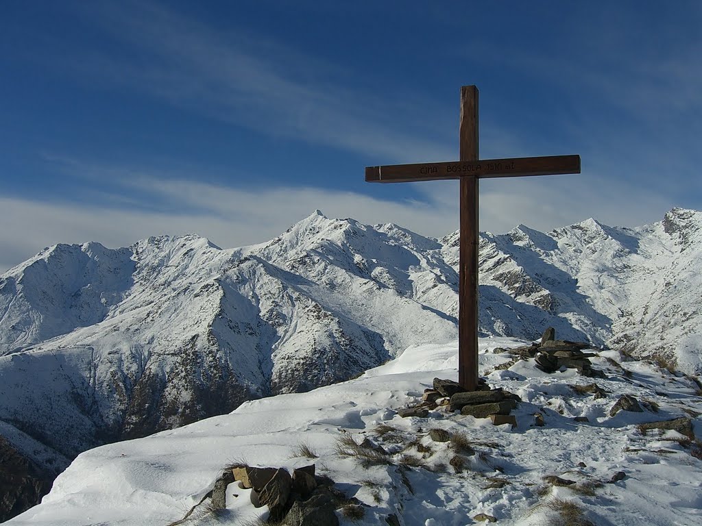 - image: 49