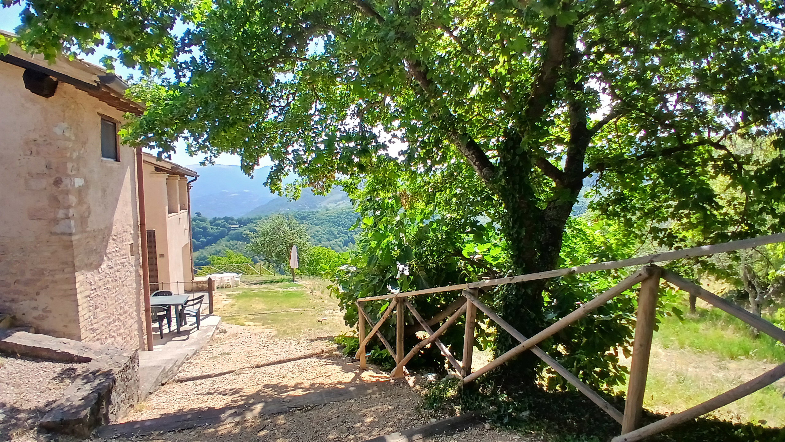 - image: 12