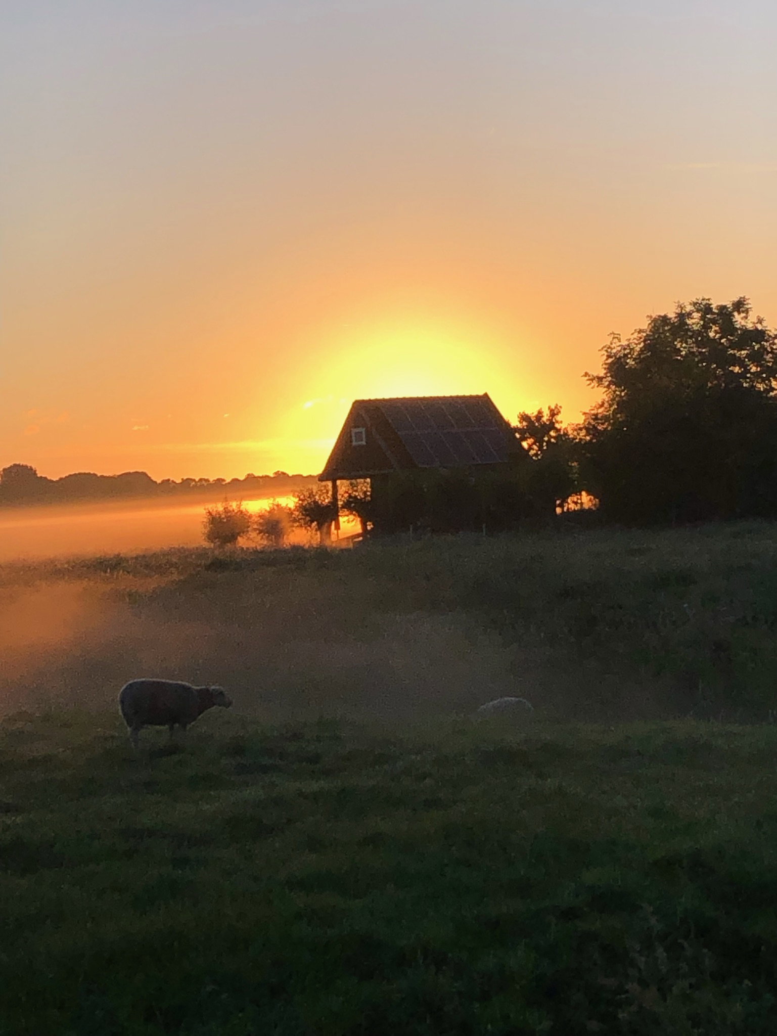 - image: 20