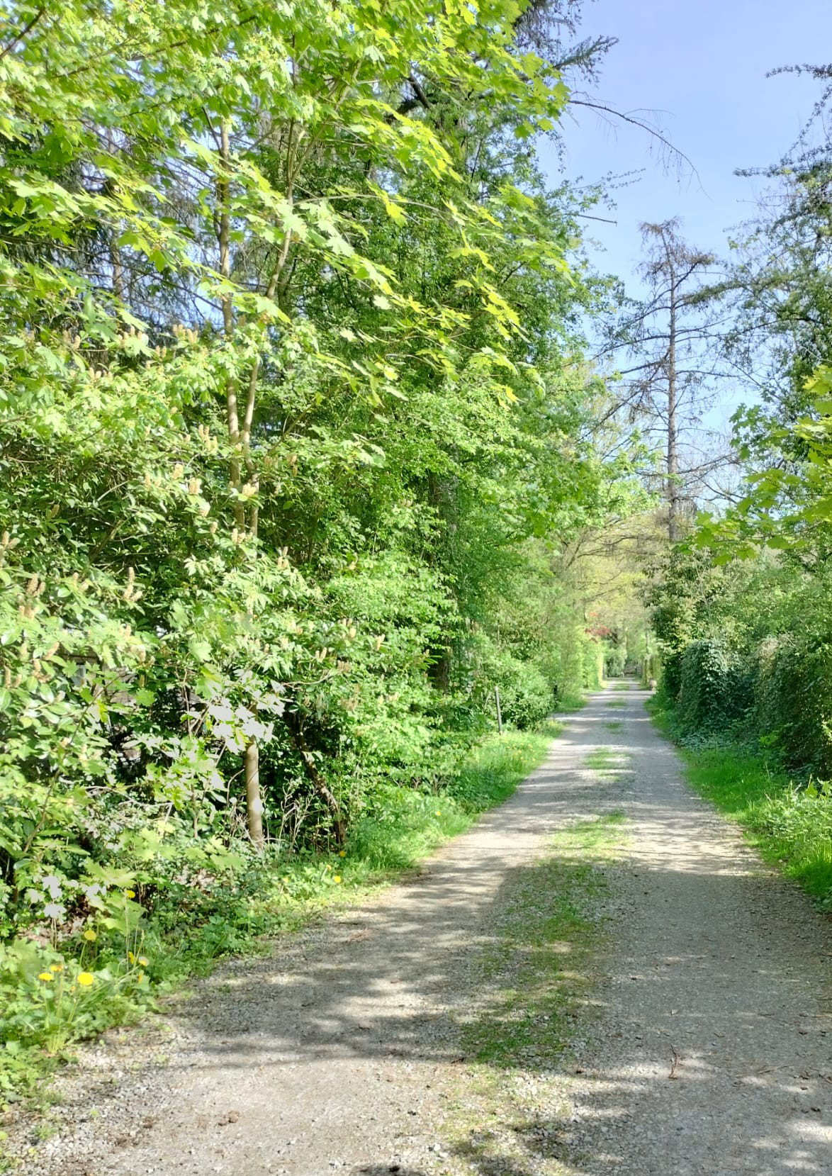 - image: 18