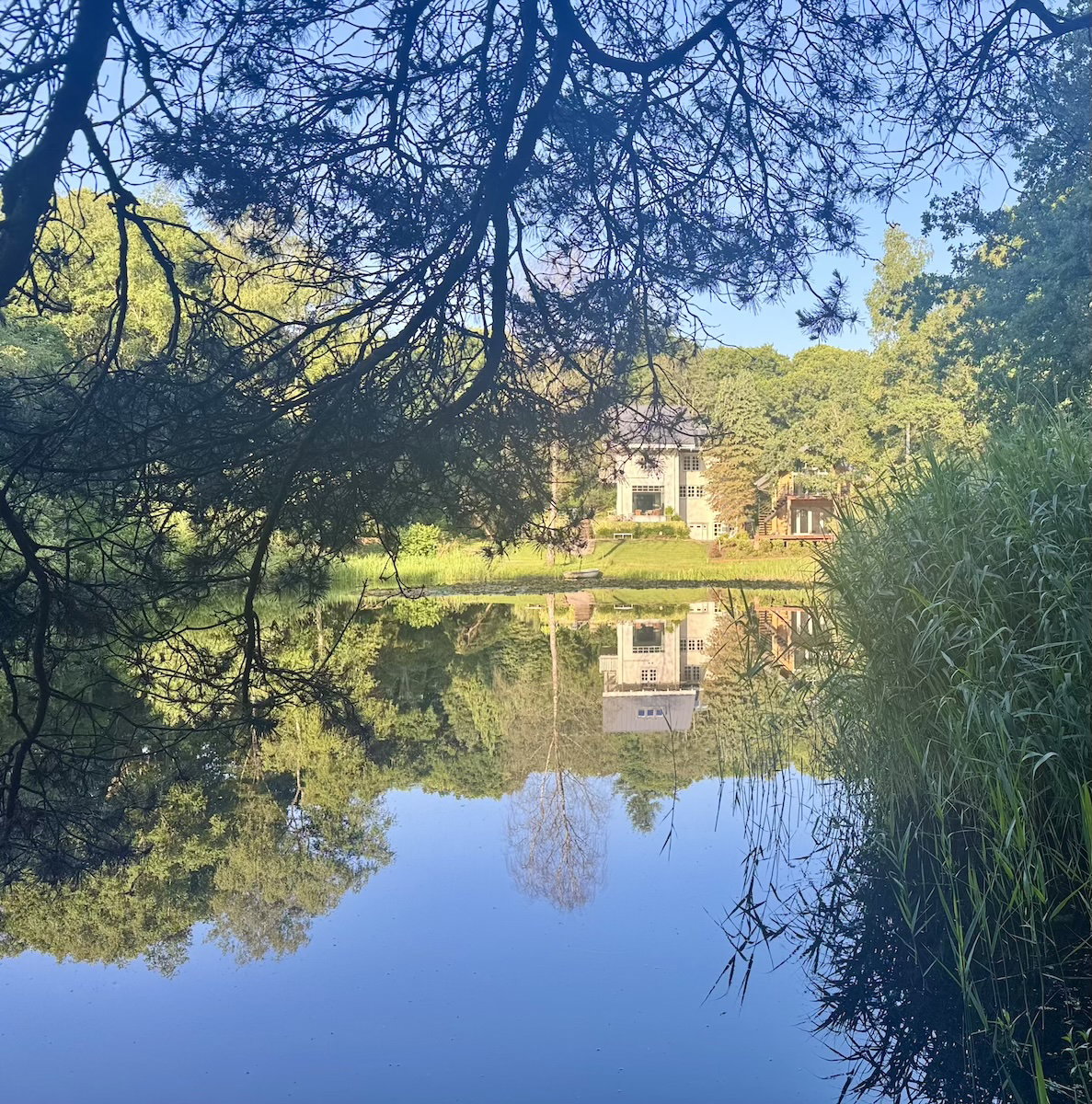 Natuurhuisje in Hattem