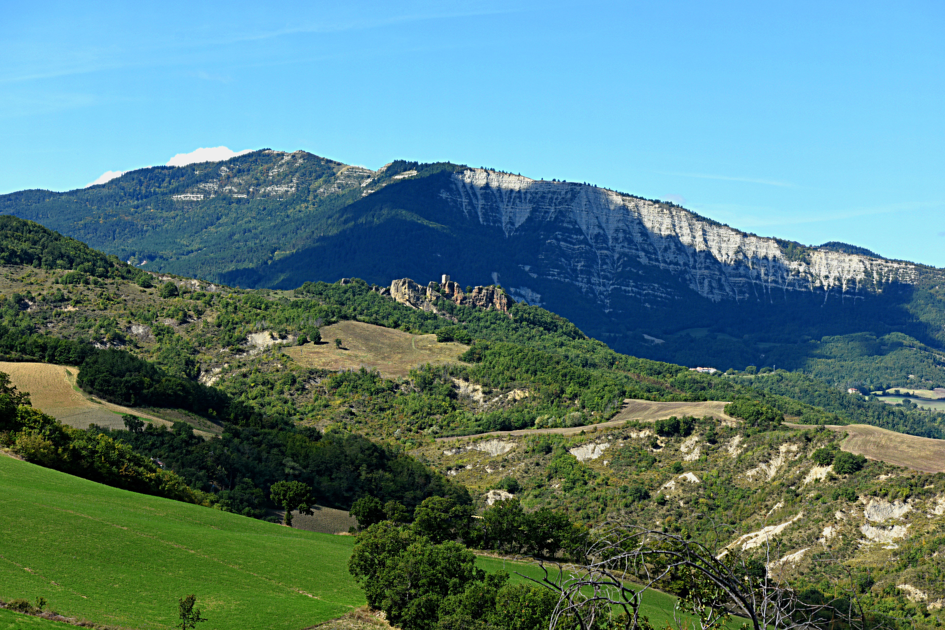 - image: 21