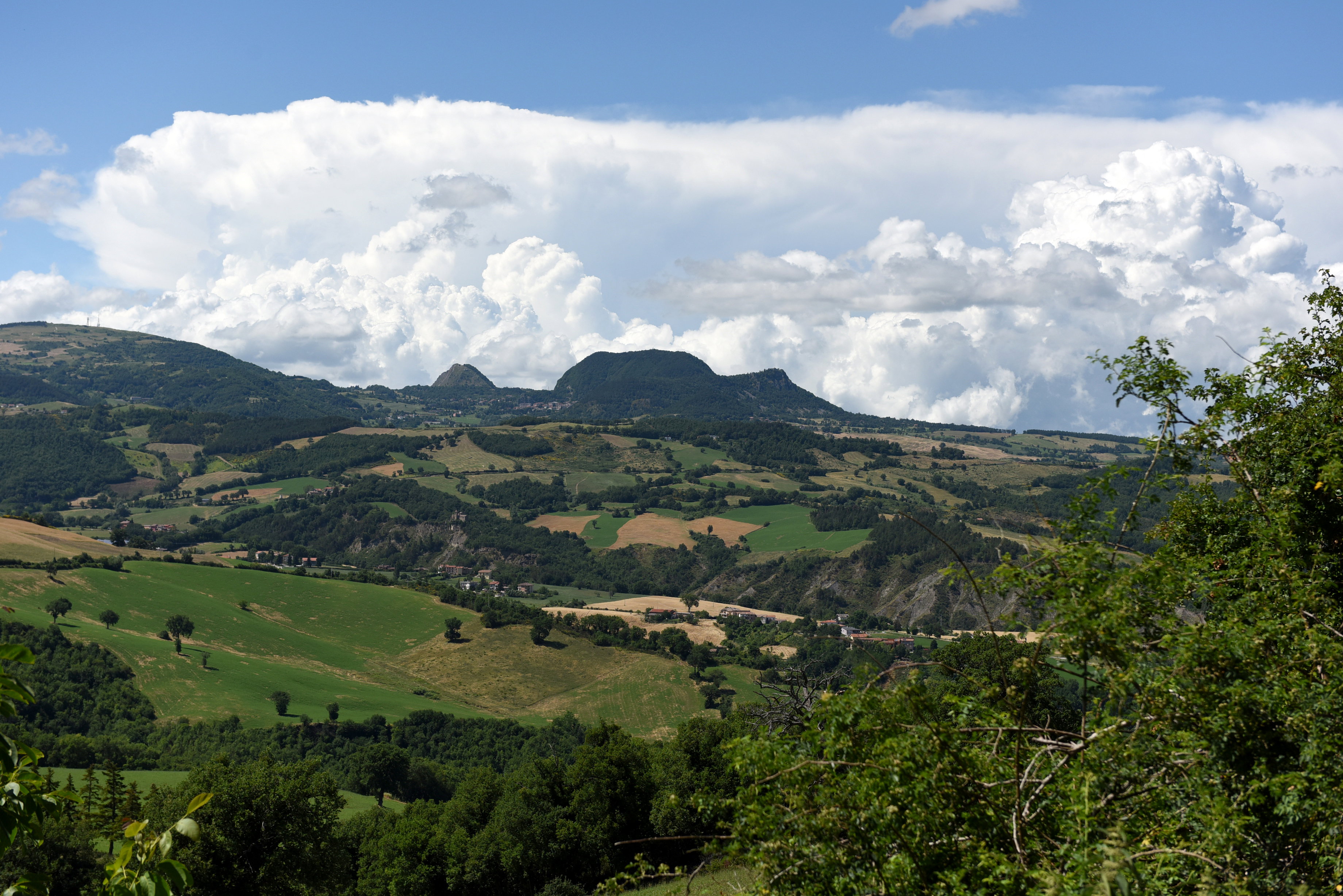 - image: 22