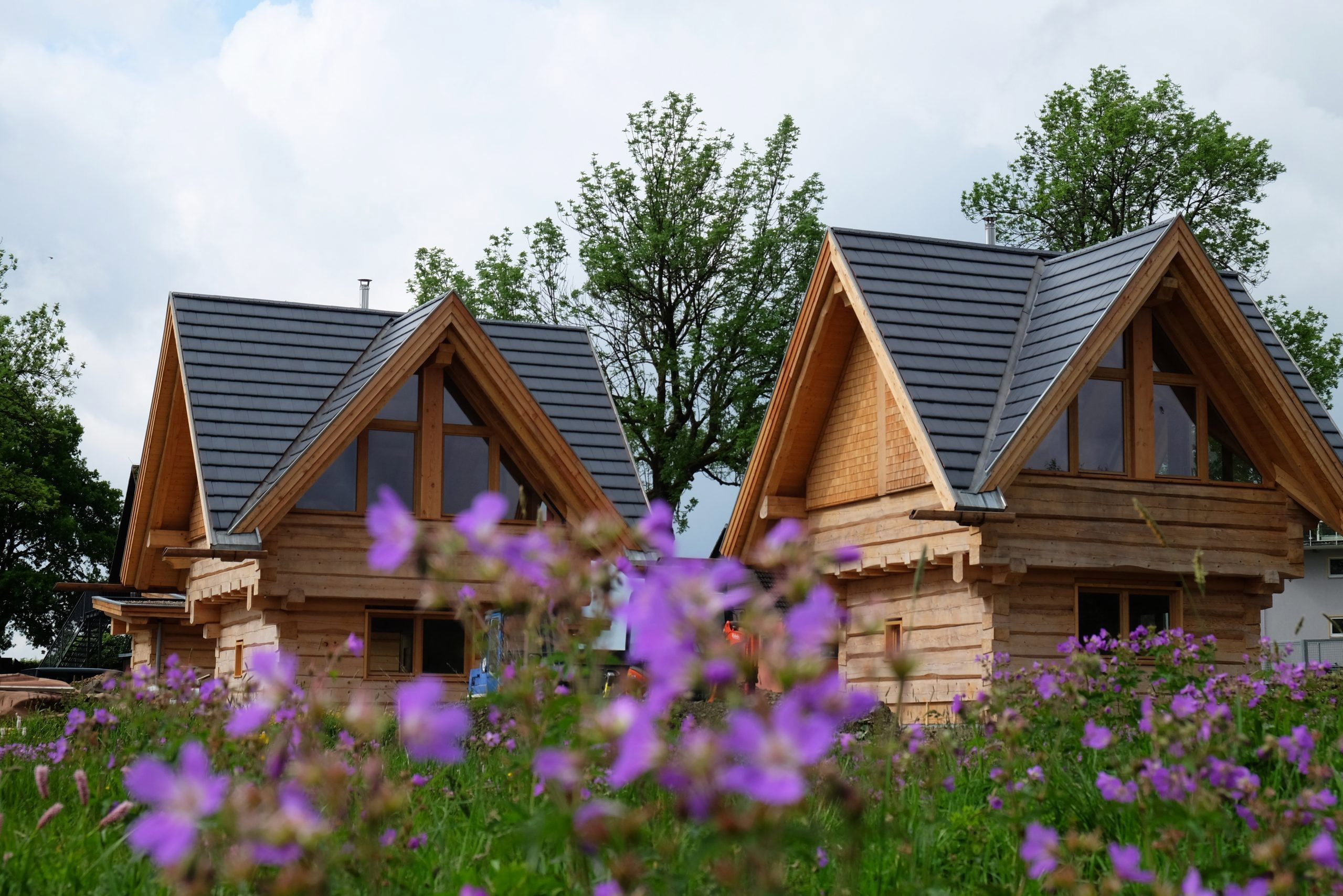 Casa nella natura a Buntenbock im Oberharz