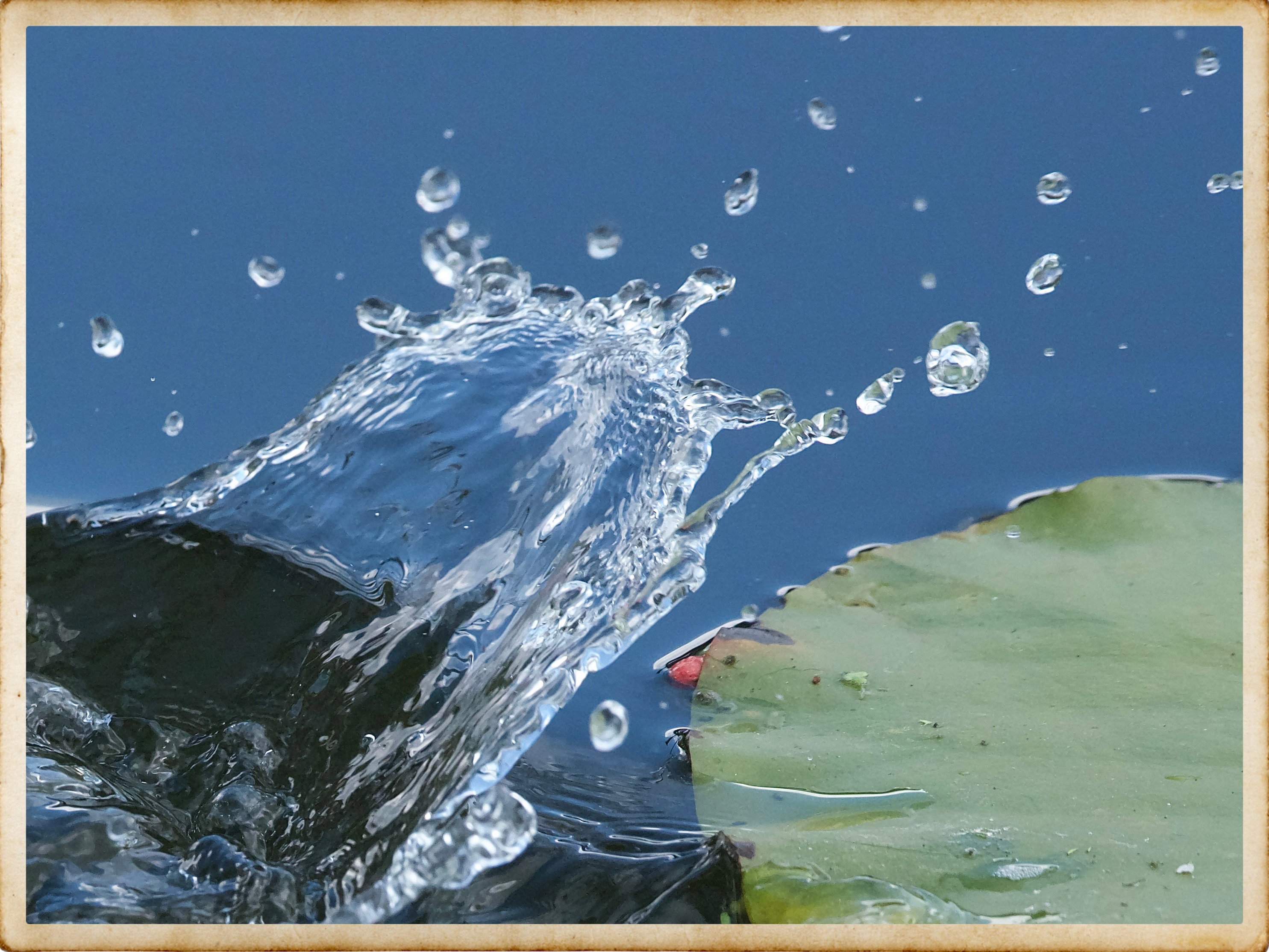 - image: 25