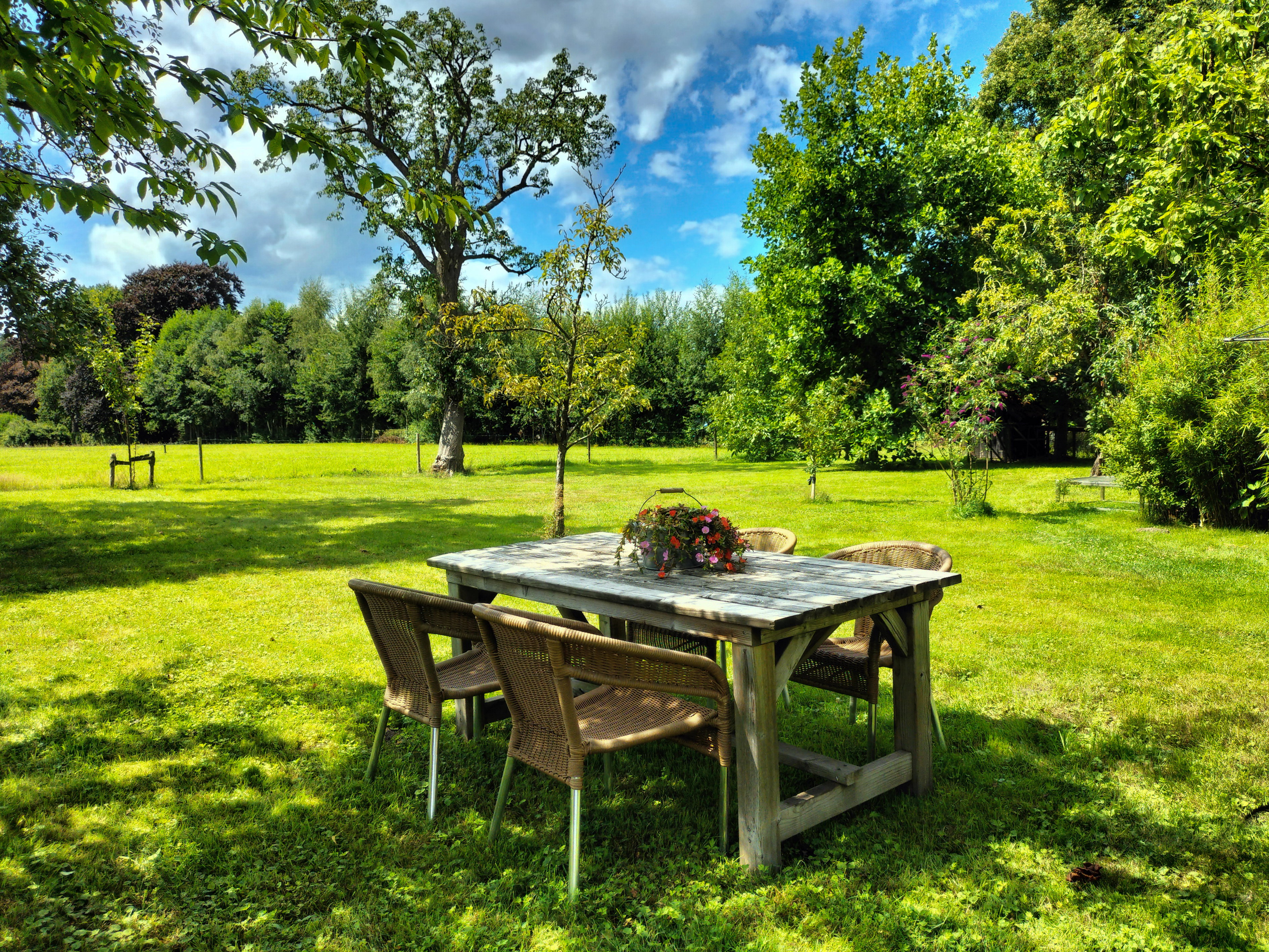 Nature house in Winterswijk