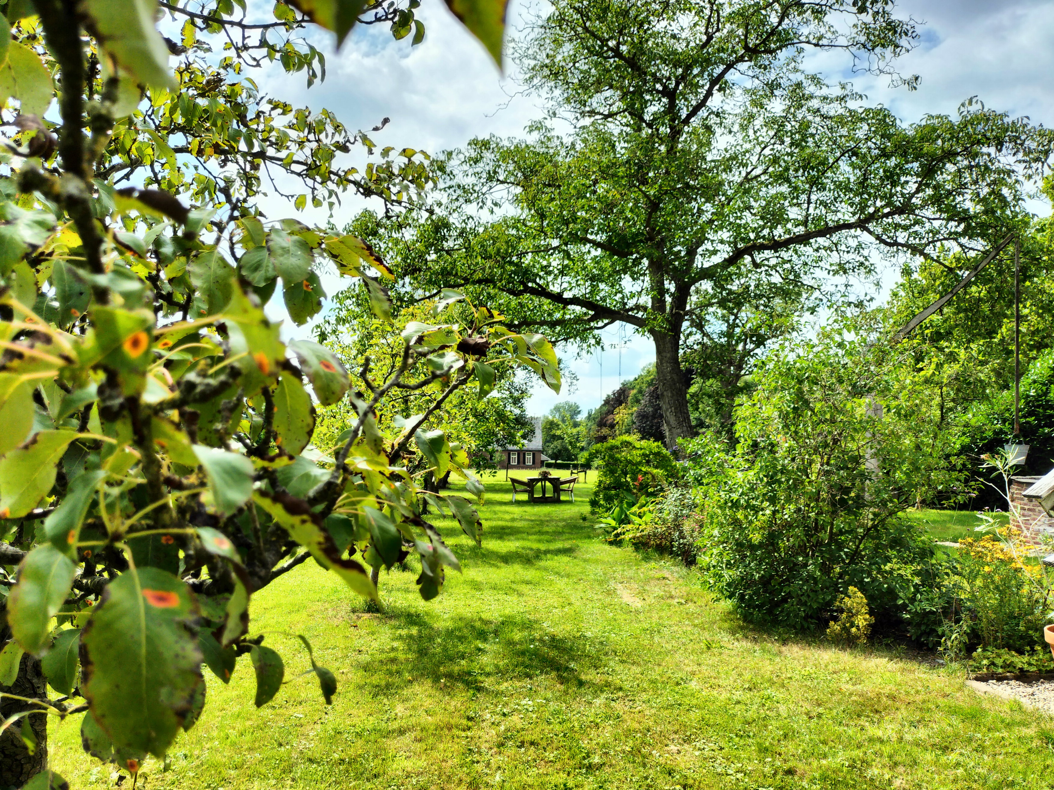 Nature house in Winterswijk