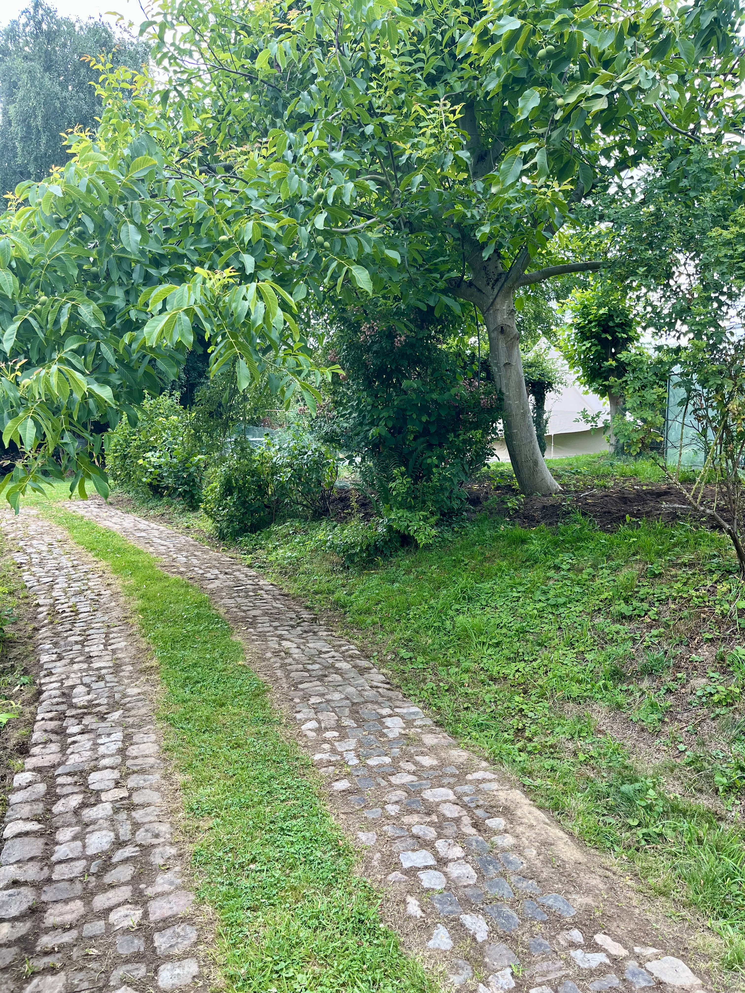 Natuurhuisje in Plombières