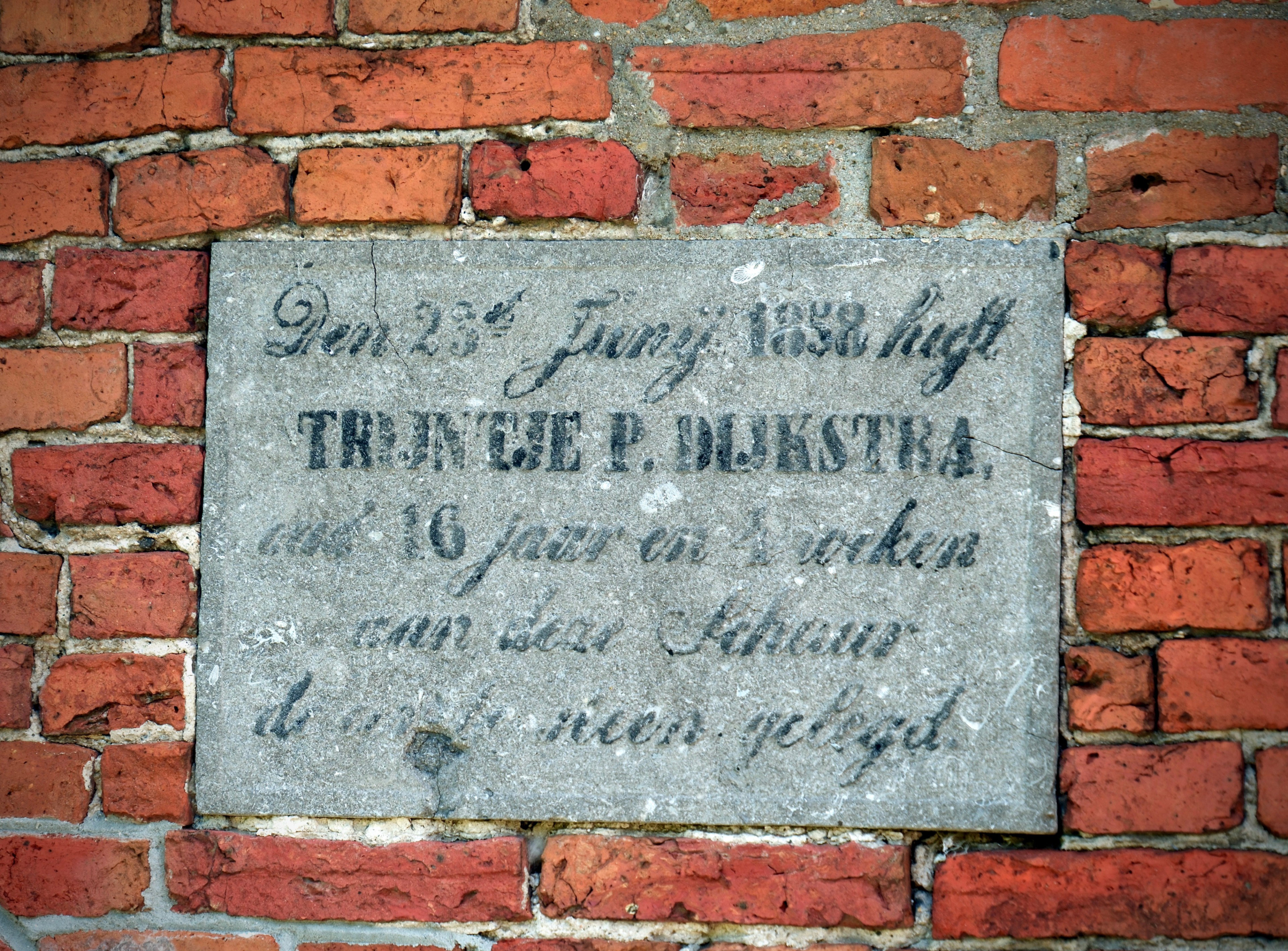 - image: 21