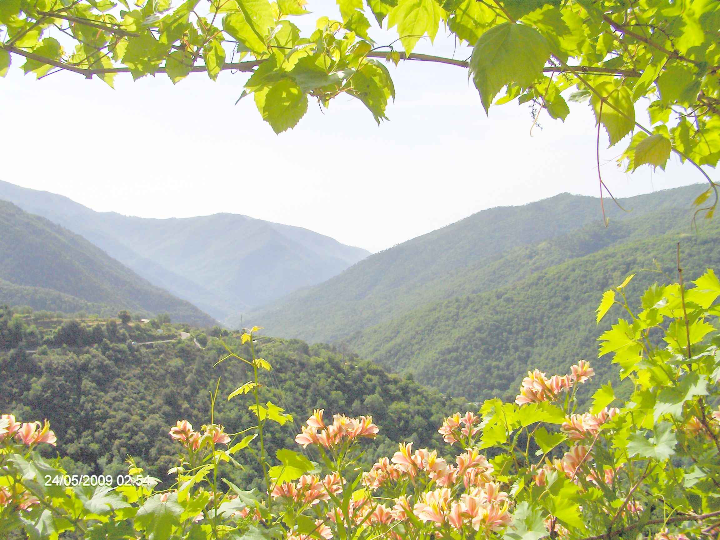 Casa nella natura a Badalucco