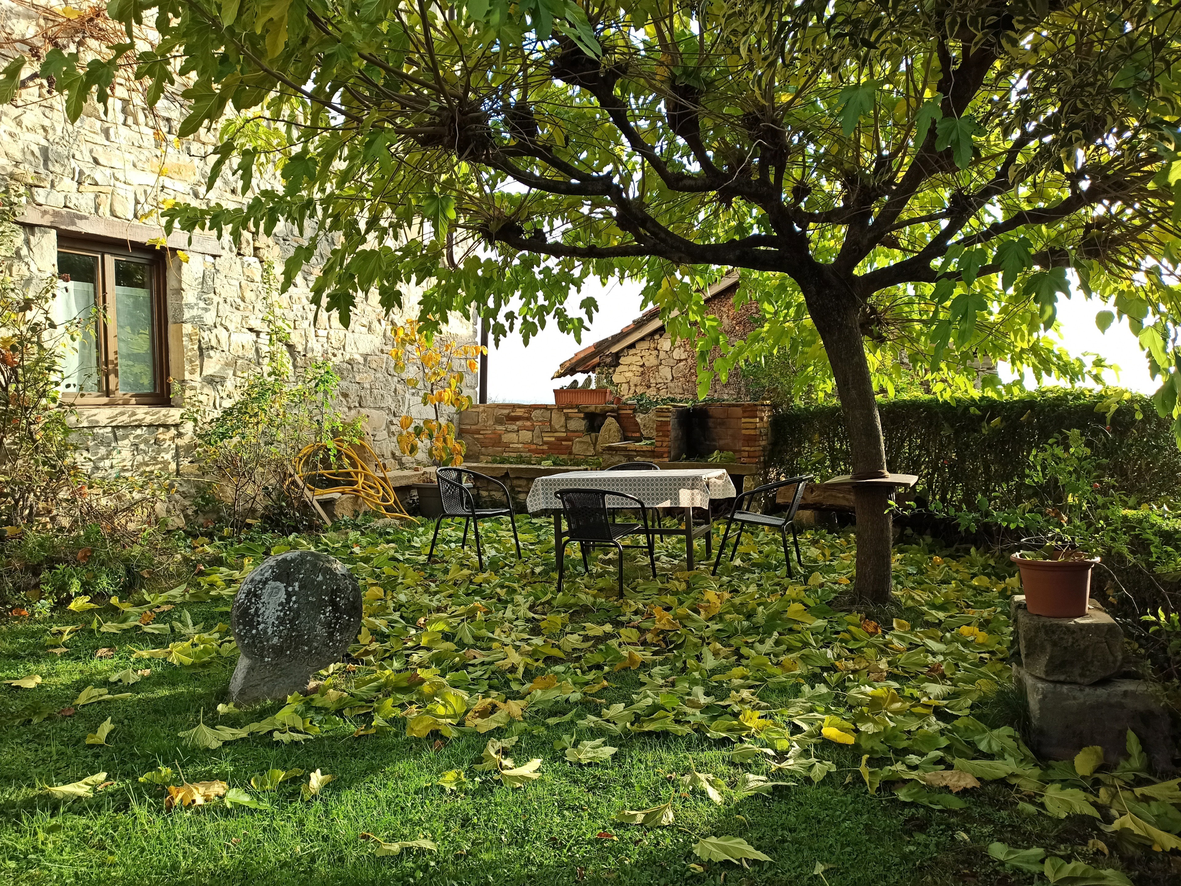 Nature house in Navarra