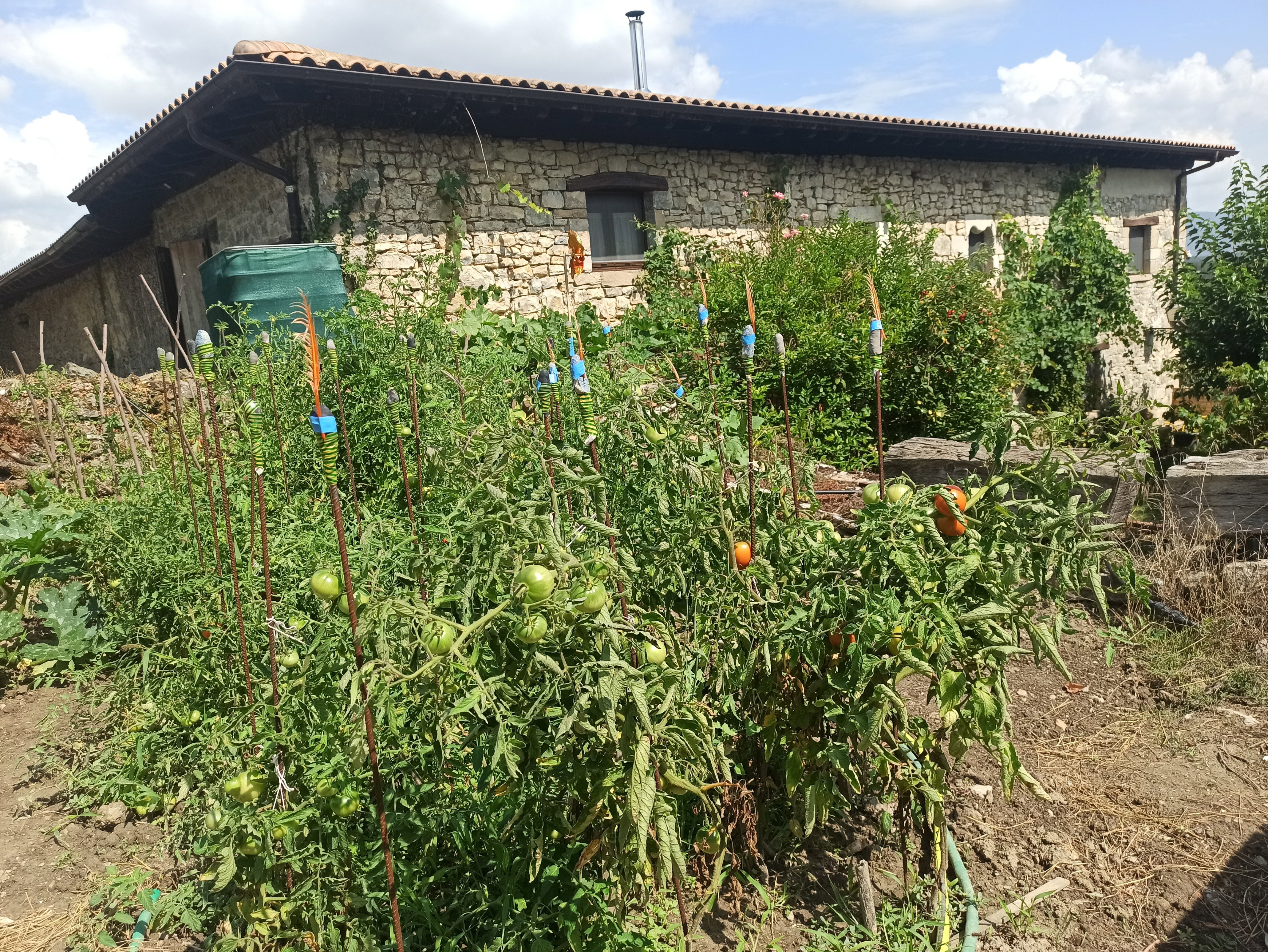Nature house in Navarra