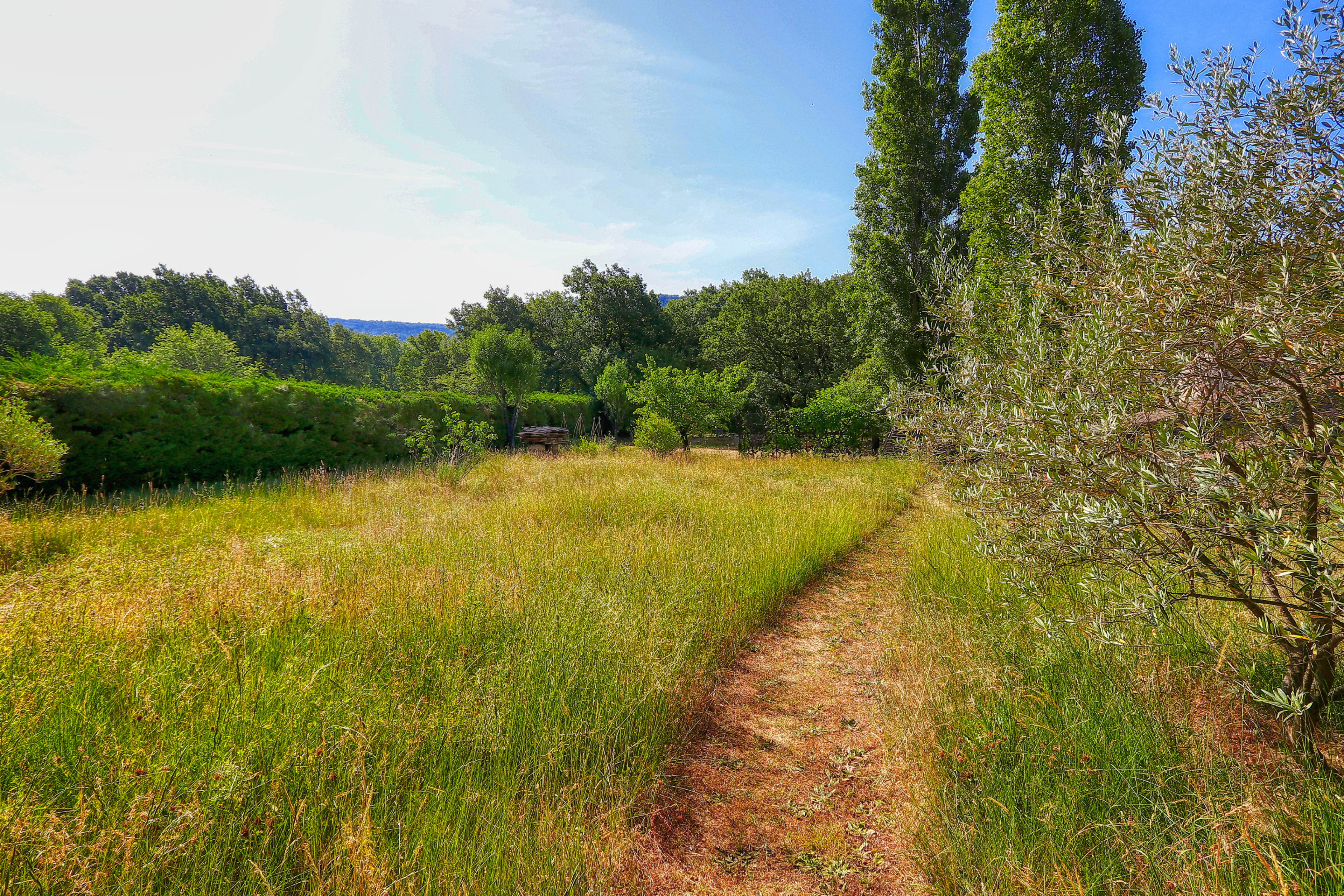 - image: 28