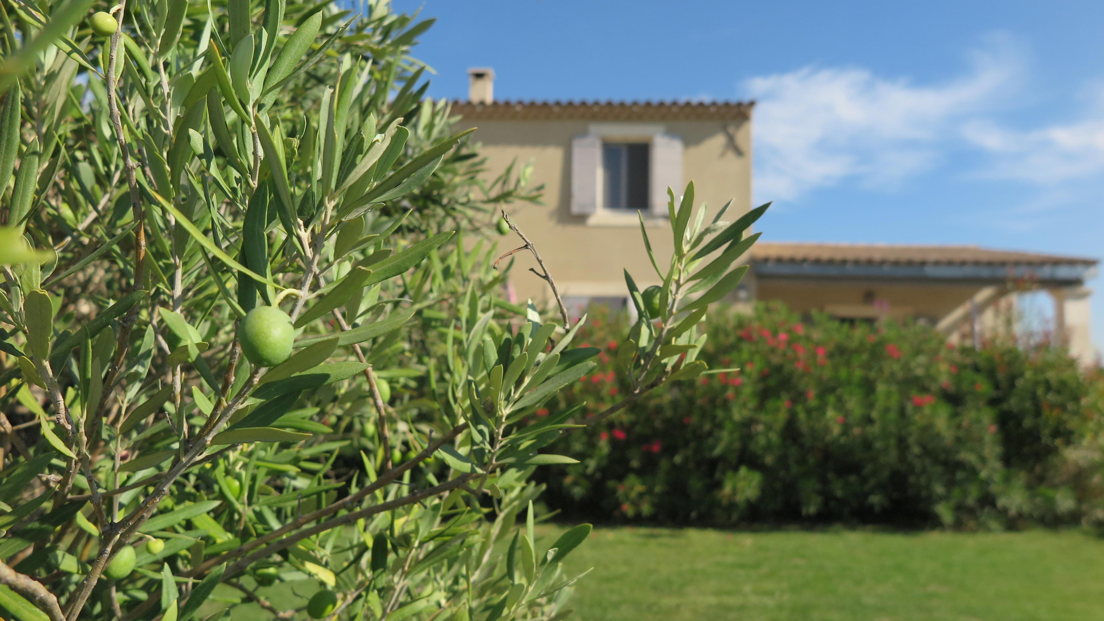 Natuurhuisje in cabrières d'Avignon