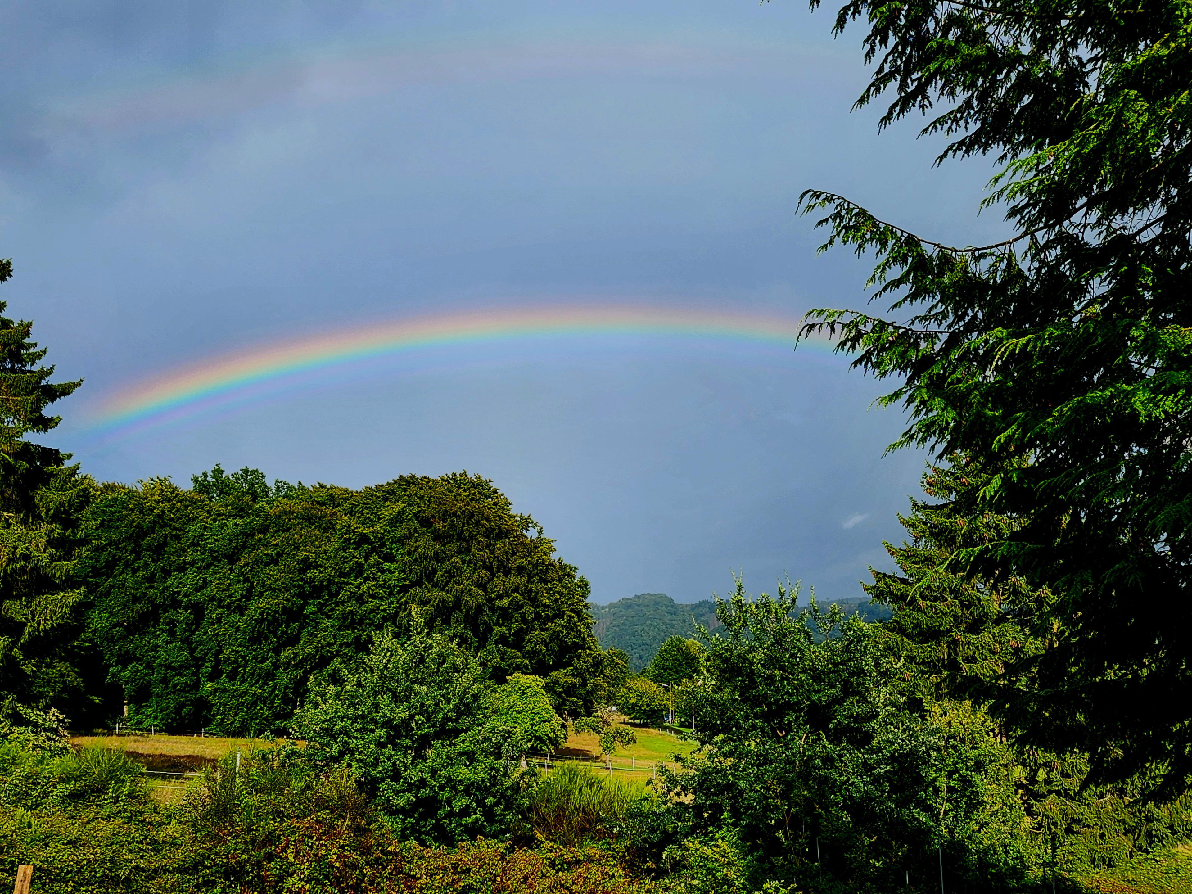 Natuurhuisje in Windeck