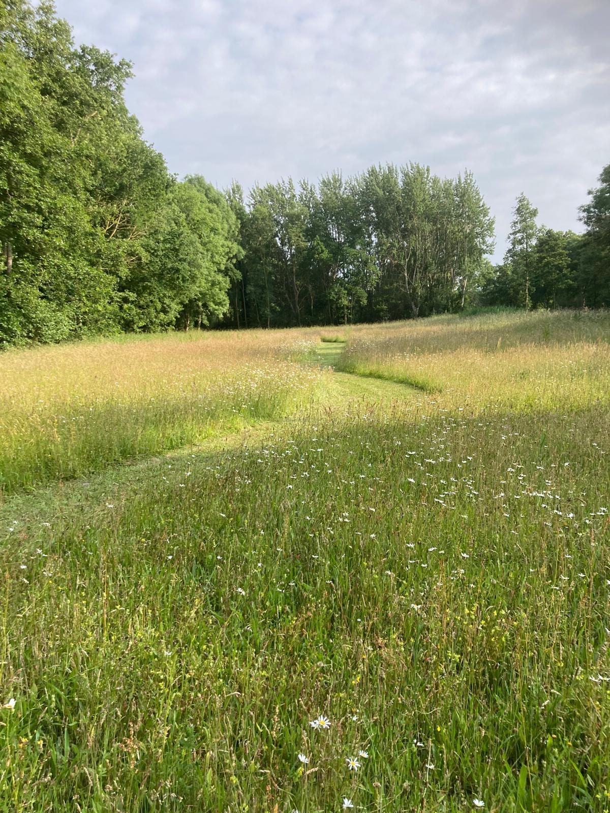 Natuurhuisje in Goedereede