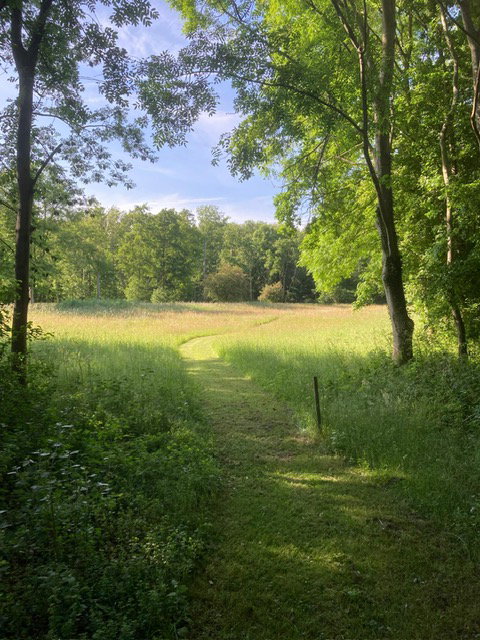 Natuurhuisje in Goedereede