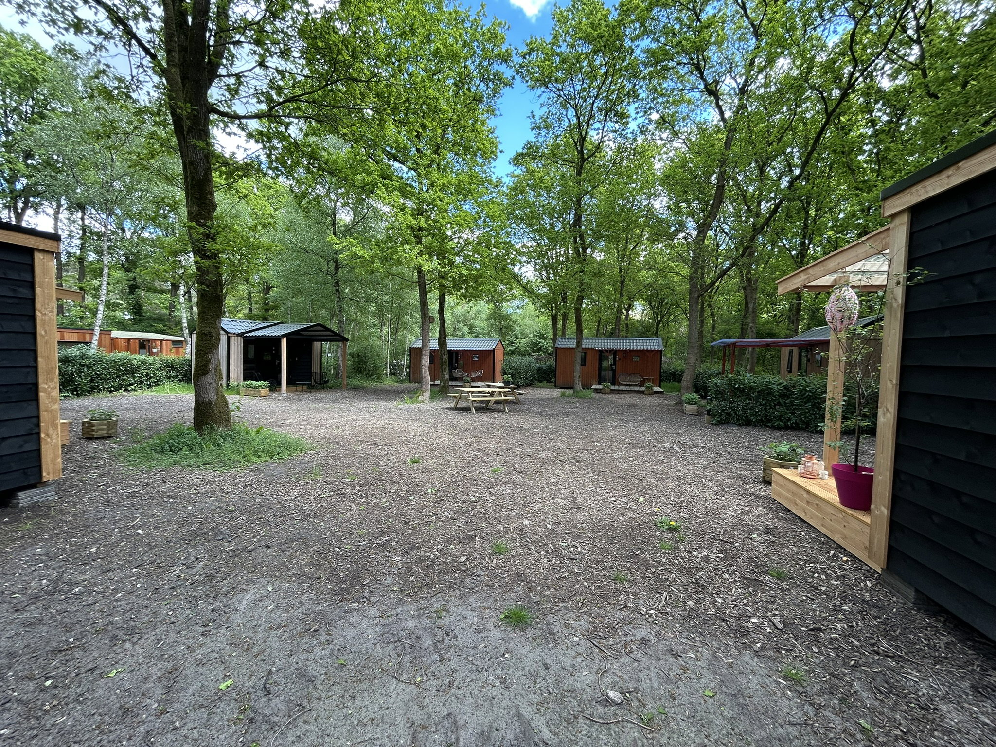 Natuurhuisje in Zuidwolde