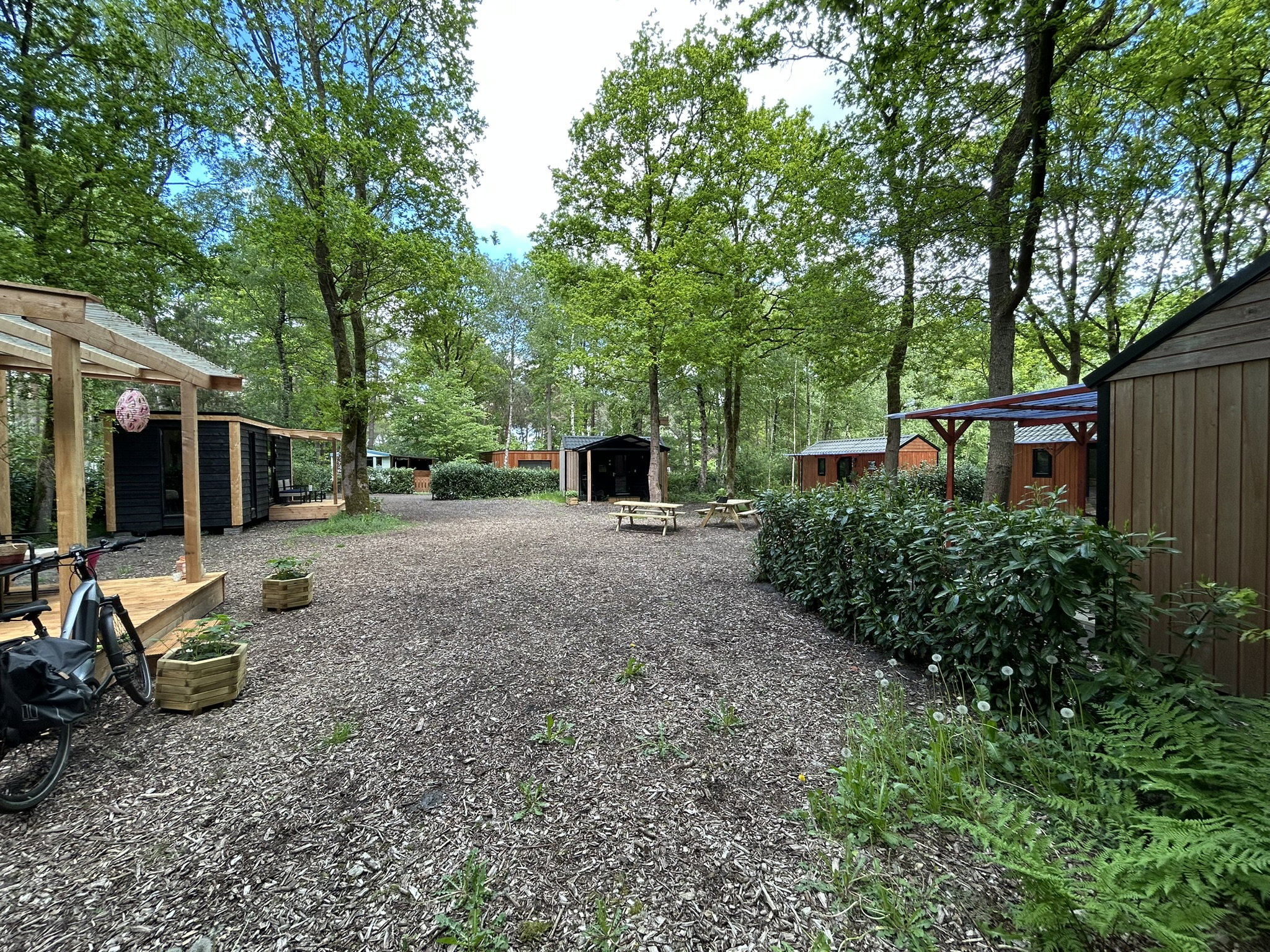 Natuurhuisje in Zuidwolde