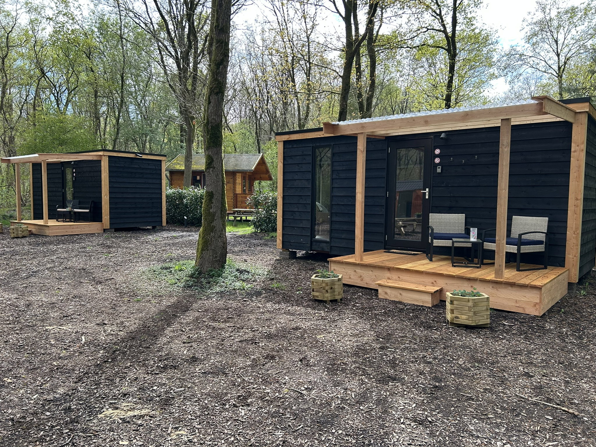 Natuurhuisje in Zuidwolde